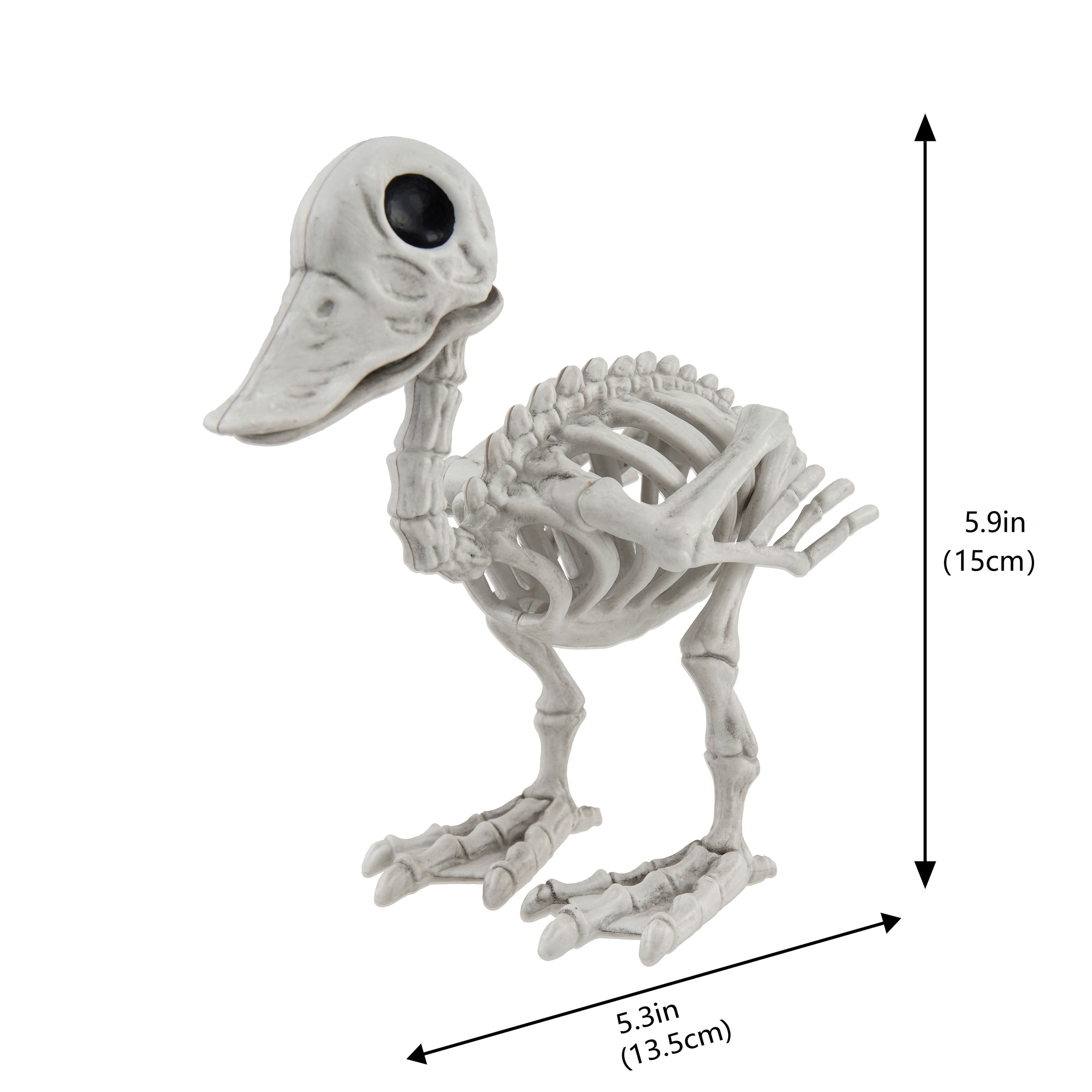 5&#x22; Duck Skeleton D&#xE9;cor by Ashland&#xAE;