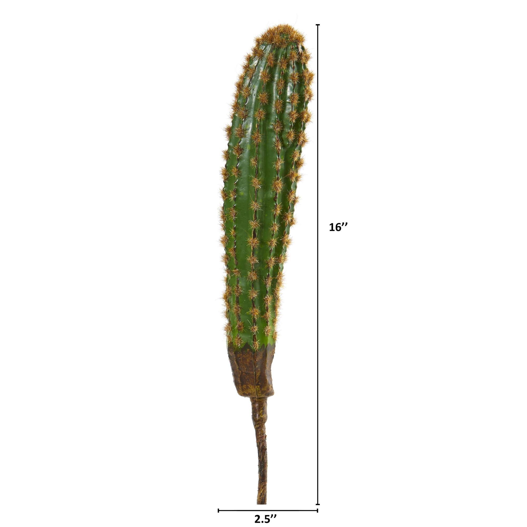 16" Cactus Plant, 6ct.