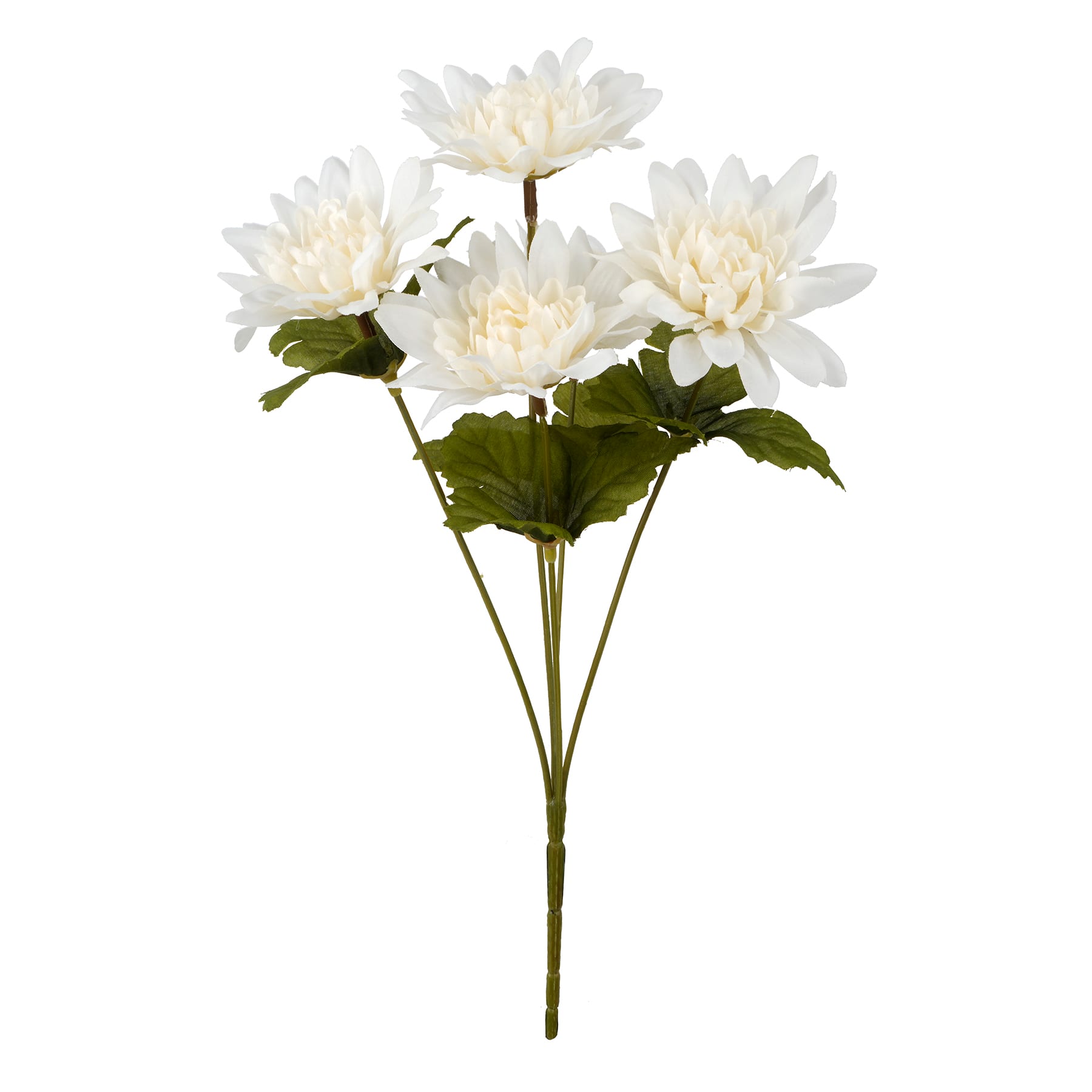 12" Dahlia Bush by Ashland®