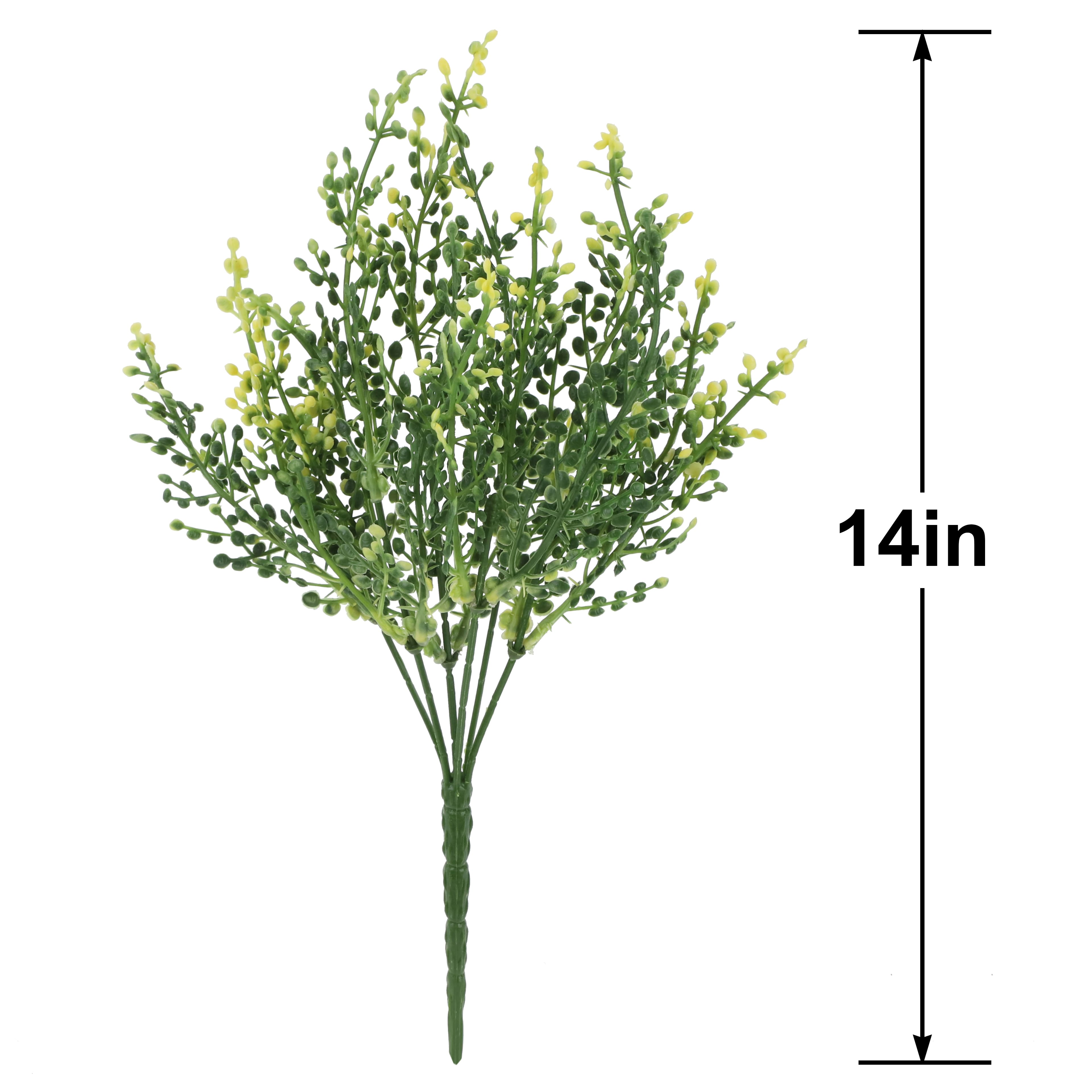 14" Berry Bush by Ashland