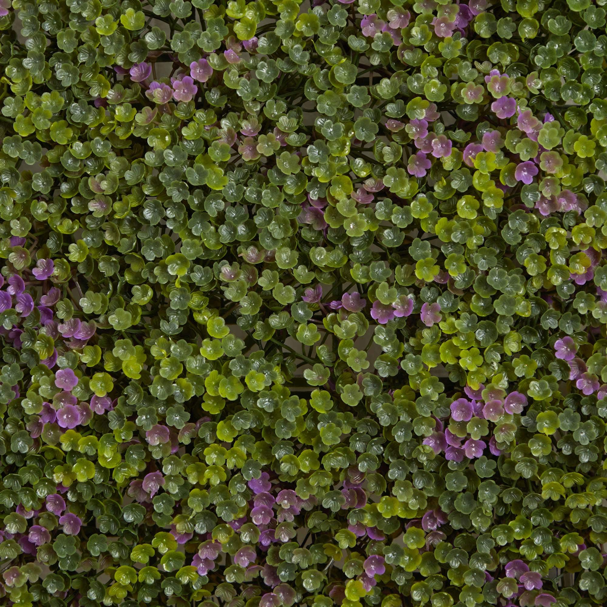 Purple &#x26; Green Clover Mat, 12ct.