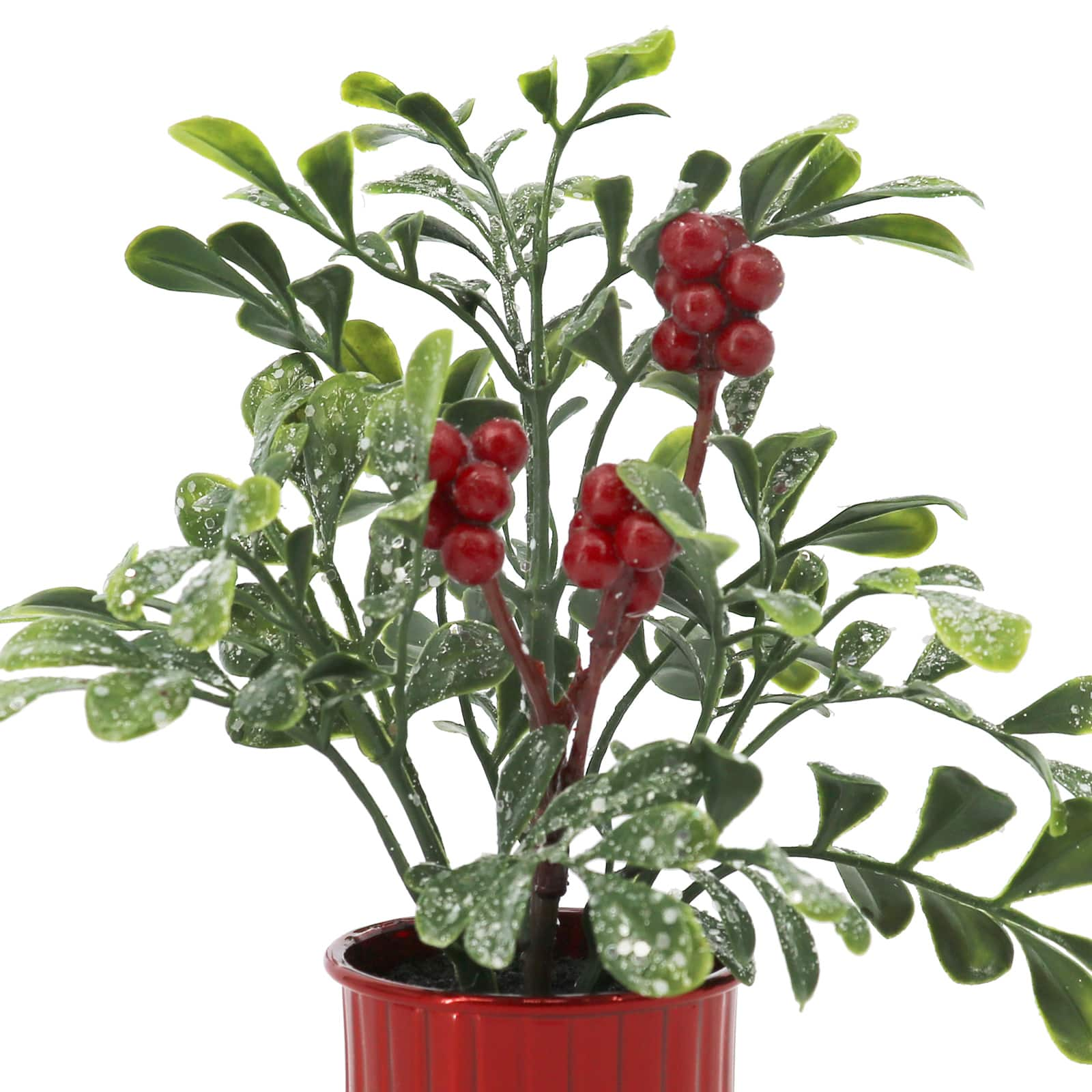 7&#x22; Boxwood &#x26; Berry Arrangement in Red Pot by Ashland&#xAE;