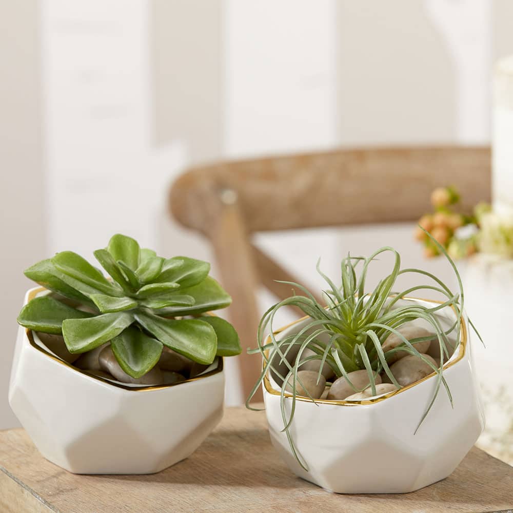 Kate Aspen® Geometric Ceramic Planter Set