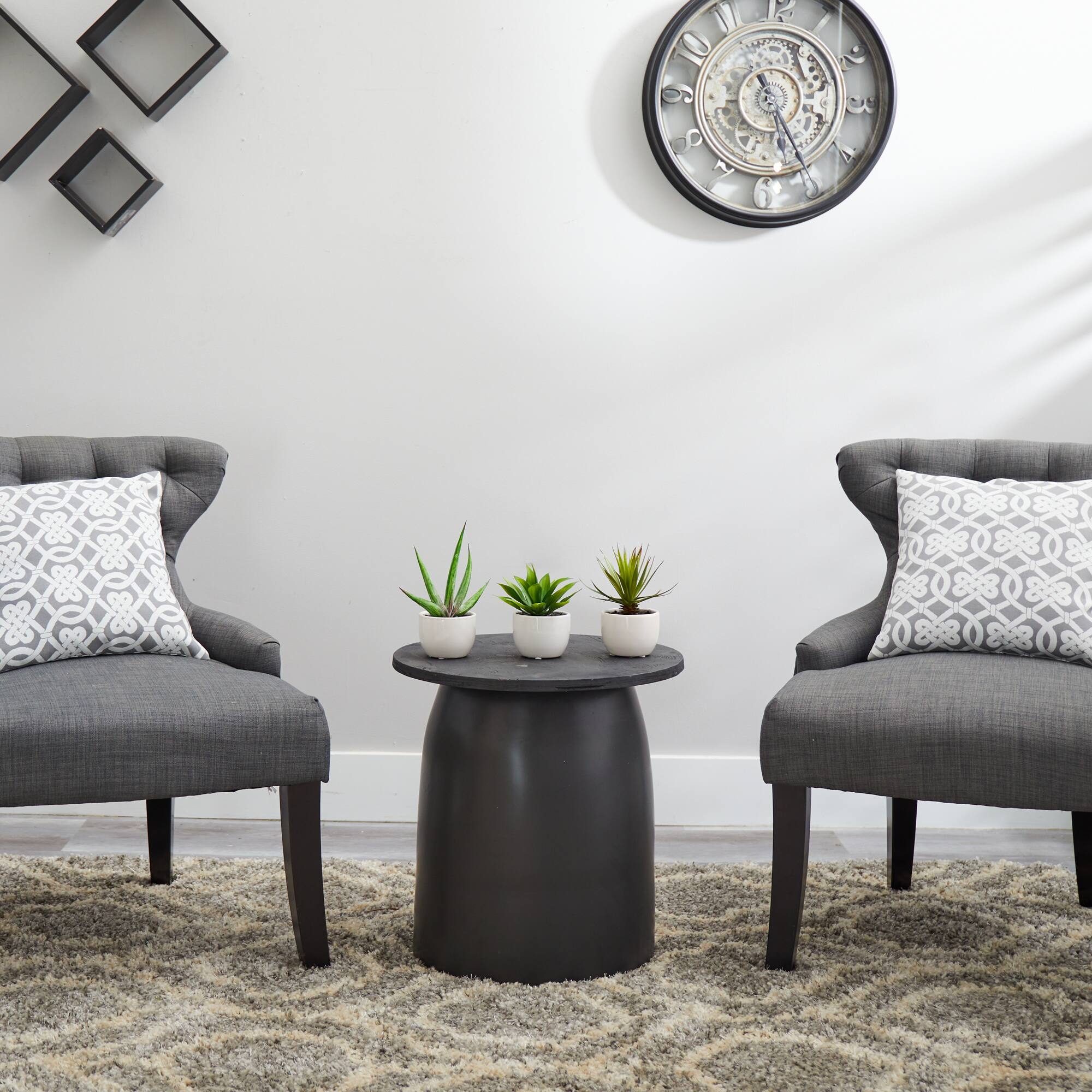 Potted Agave Plant Collection 3ct.