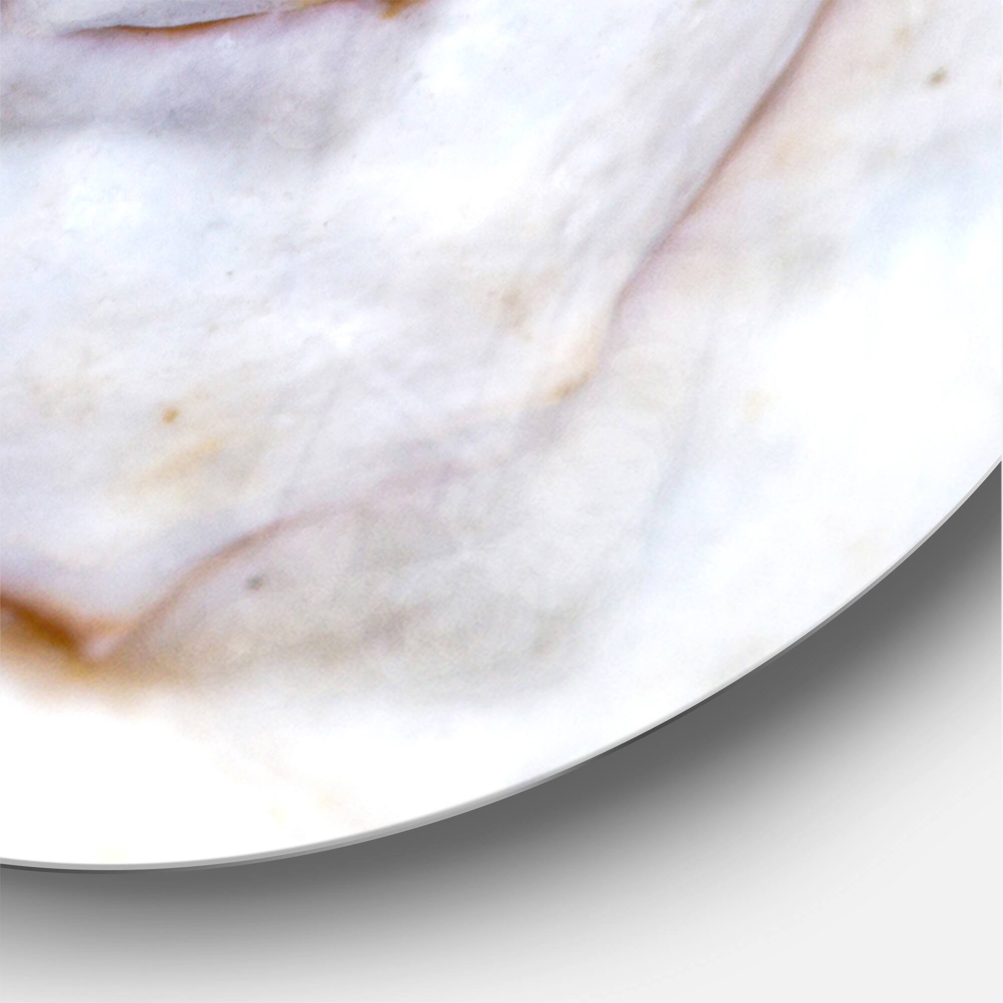 Designart Great Skeleton Of Sea Shell Modern Wall Clock