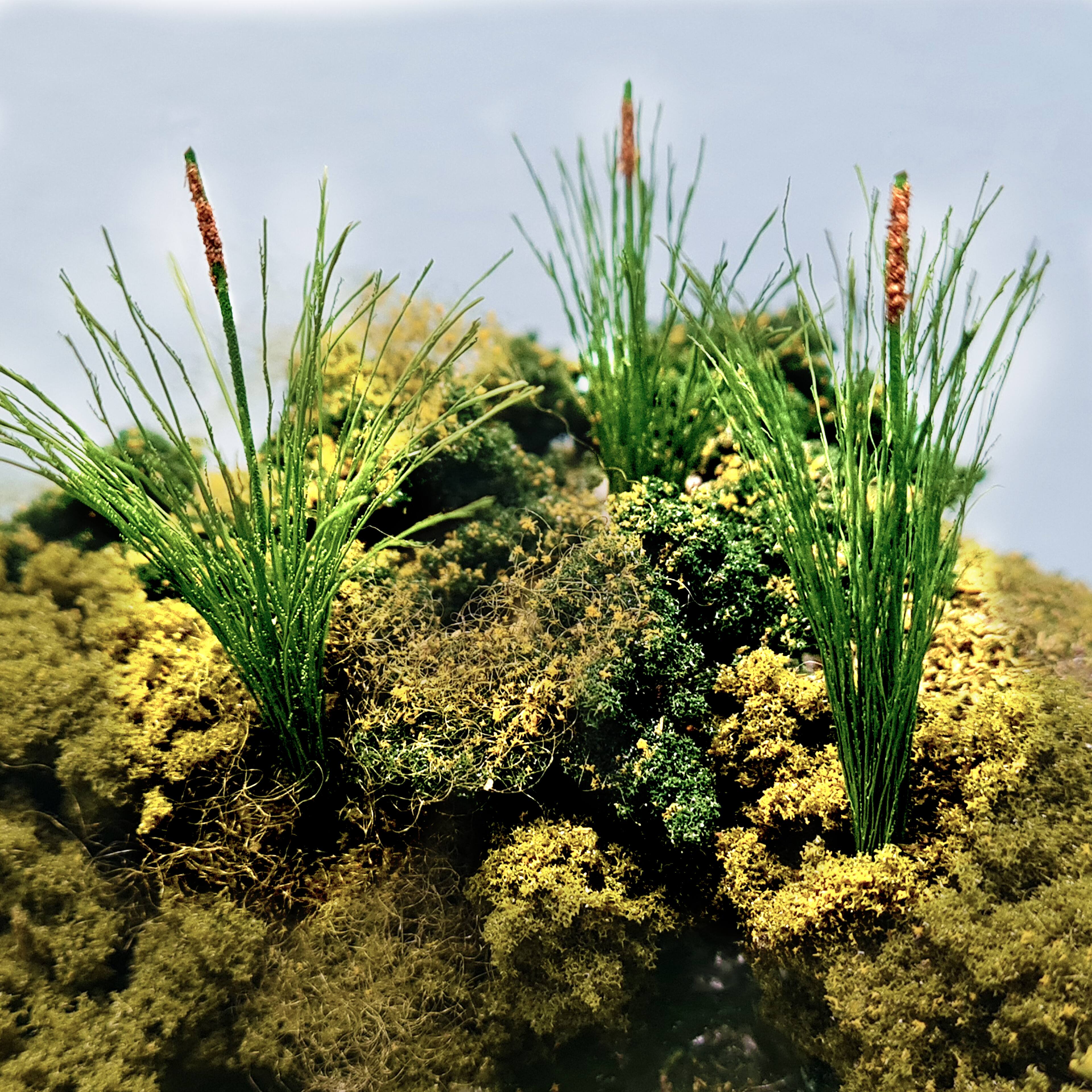 JTT Scenery Products Mini Cattails