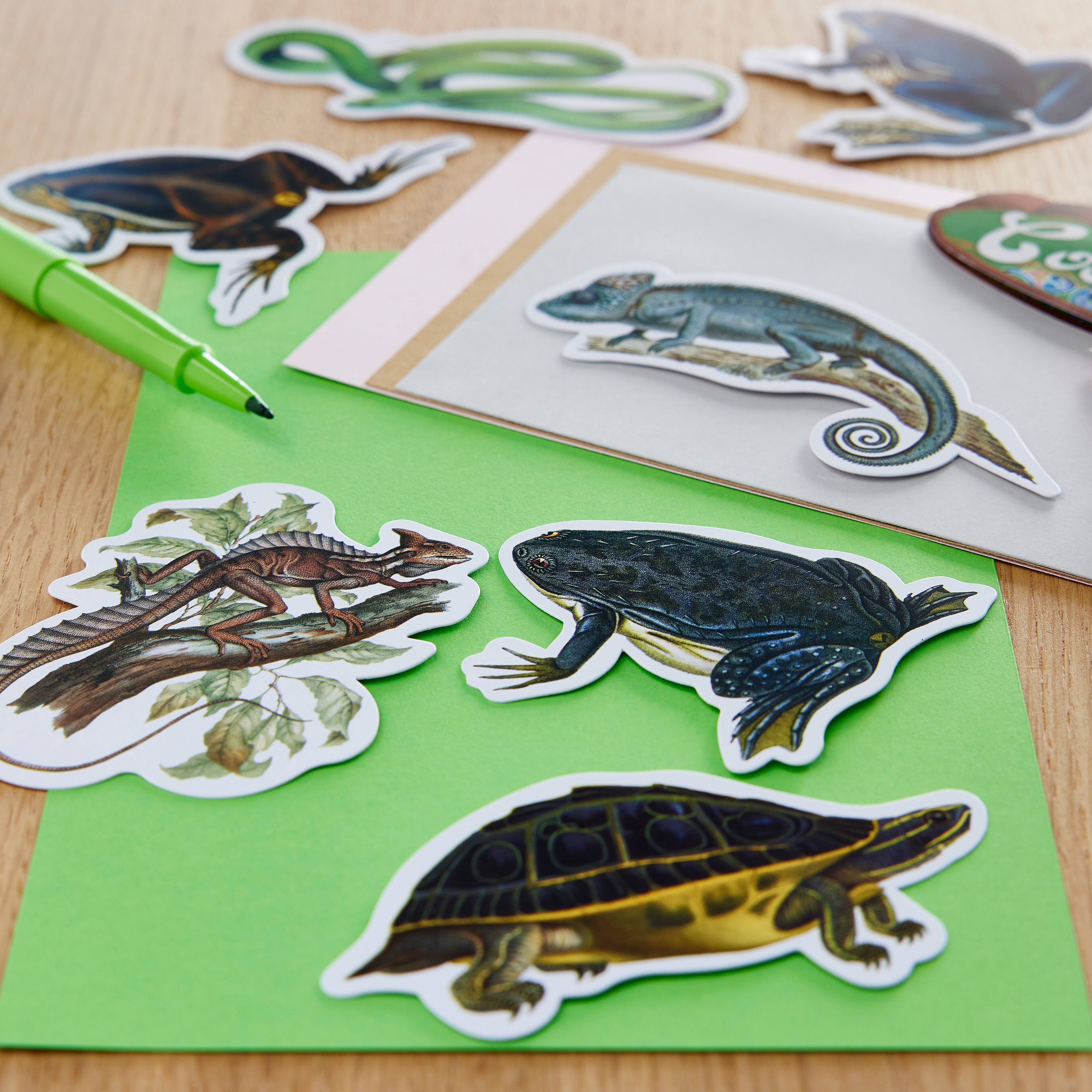 12 Pack: Reptiles Die Cut Stickers by Recollections™
