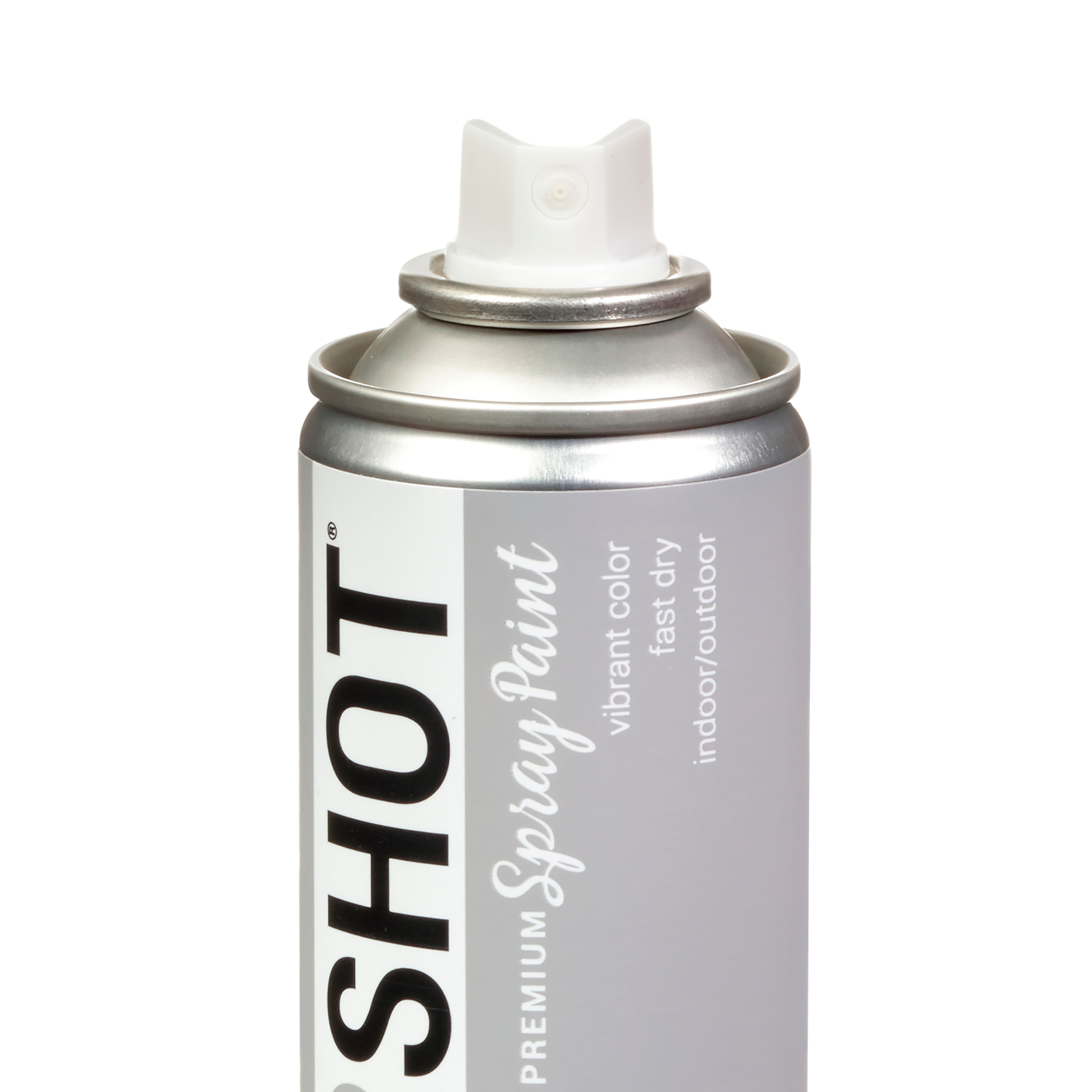 COLORSHOT&#xAE; Premium Satin Spray Paint