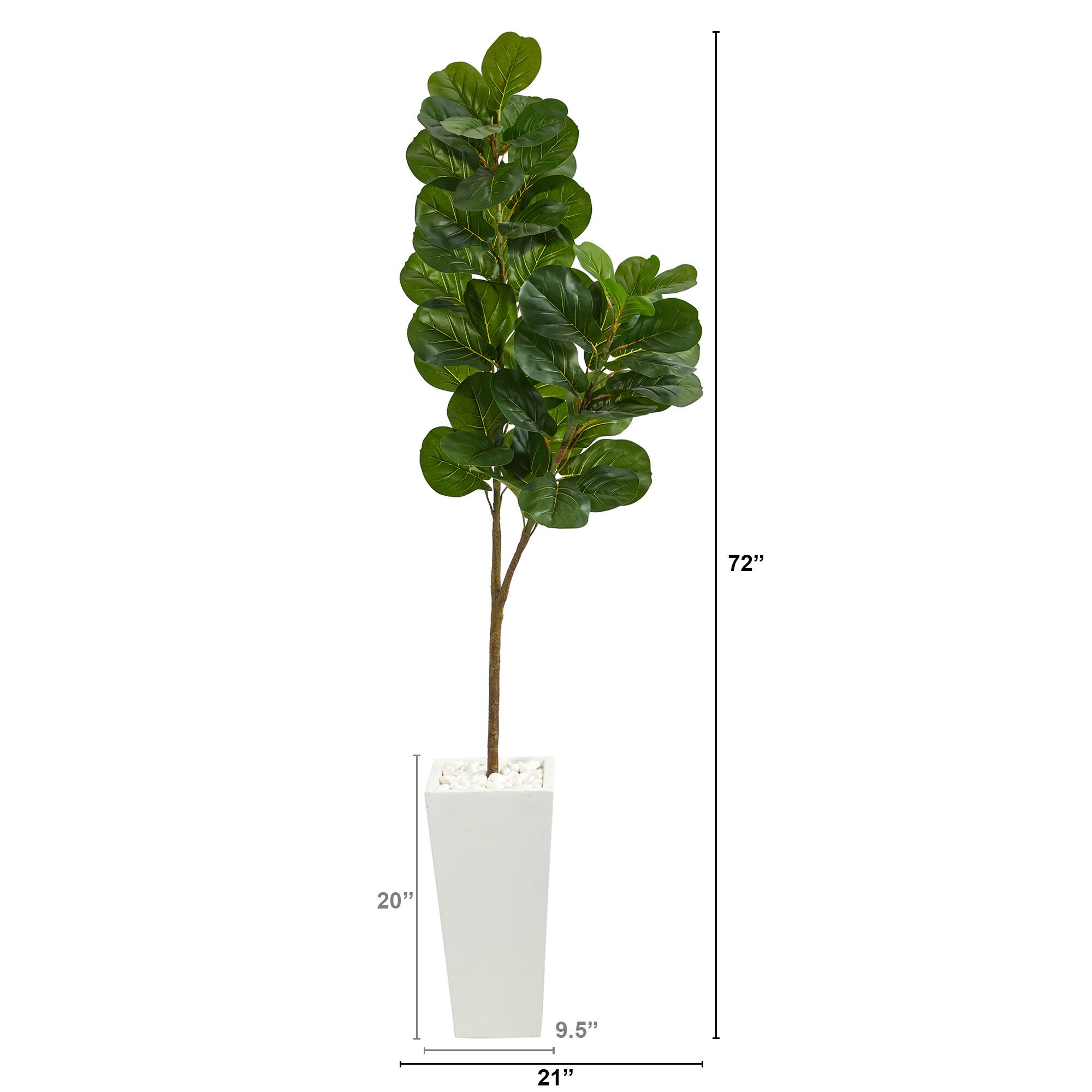 6ft. Fiddle Leaf Fig Tree in Tall White Planter