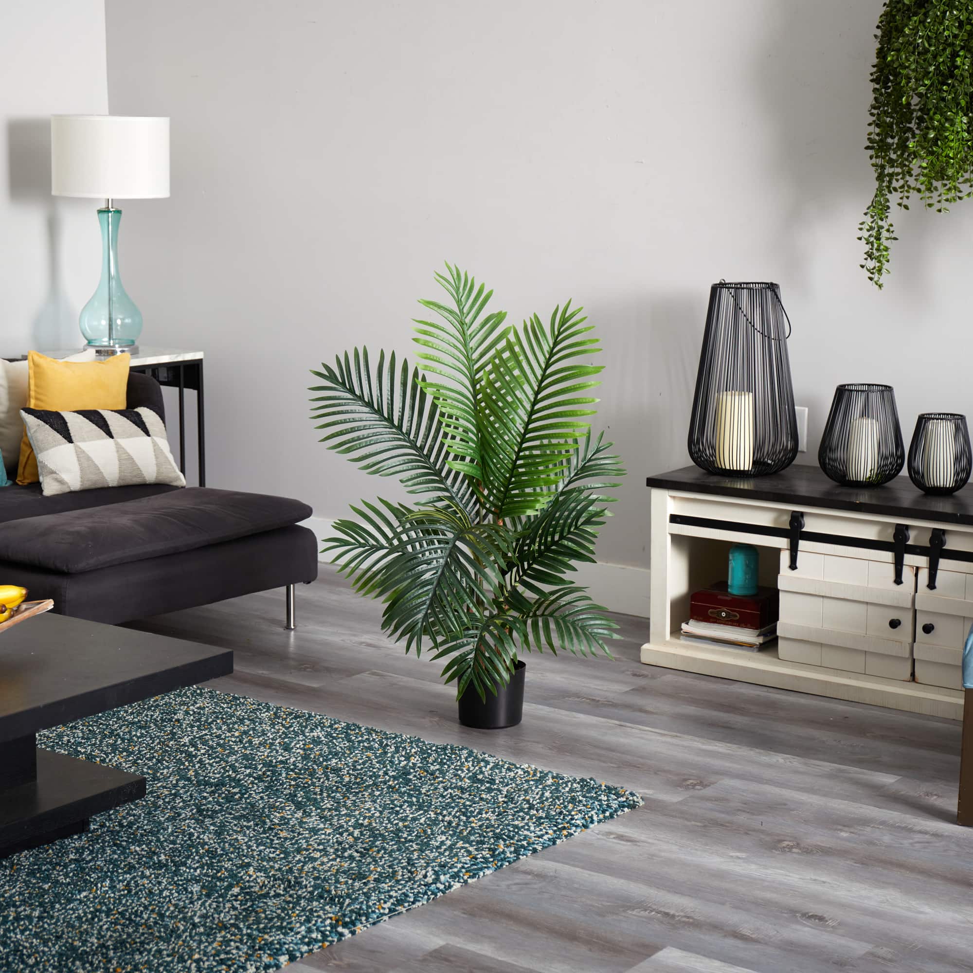 4ft. Potted Paradise Palm Tree