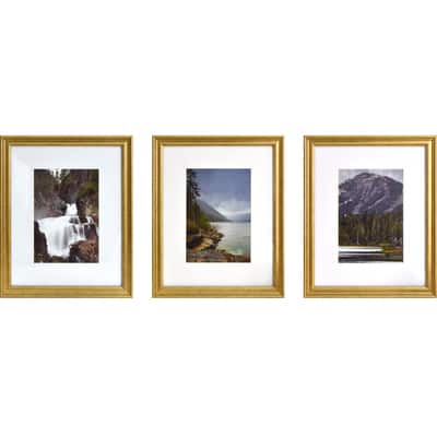 3 Pack - 8" x 10" Gold Frames
