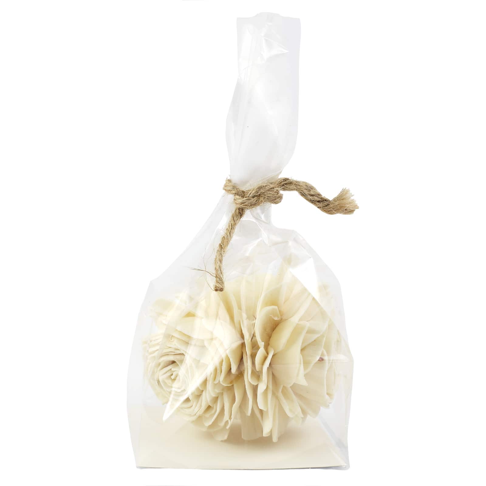White Sola Flower Decorative Naturals by Ashland&#xAE;