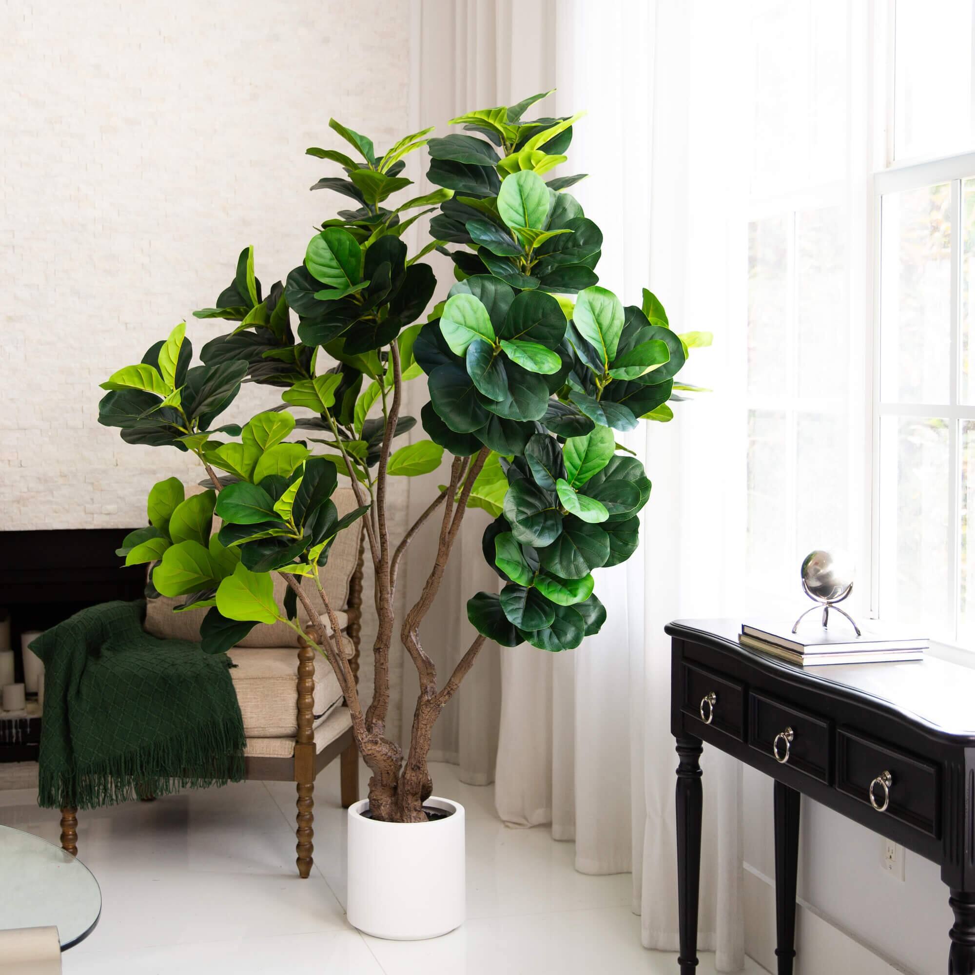 6ft. Artificial Grand Fiddle Leaf Tree in White Decorative Planter