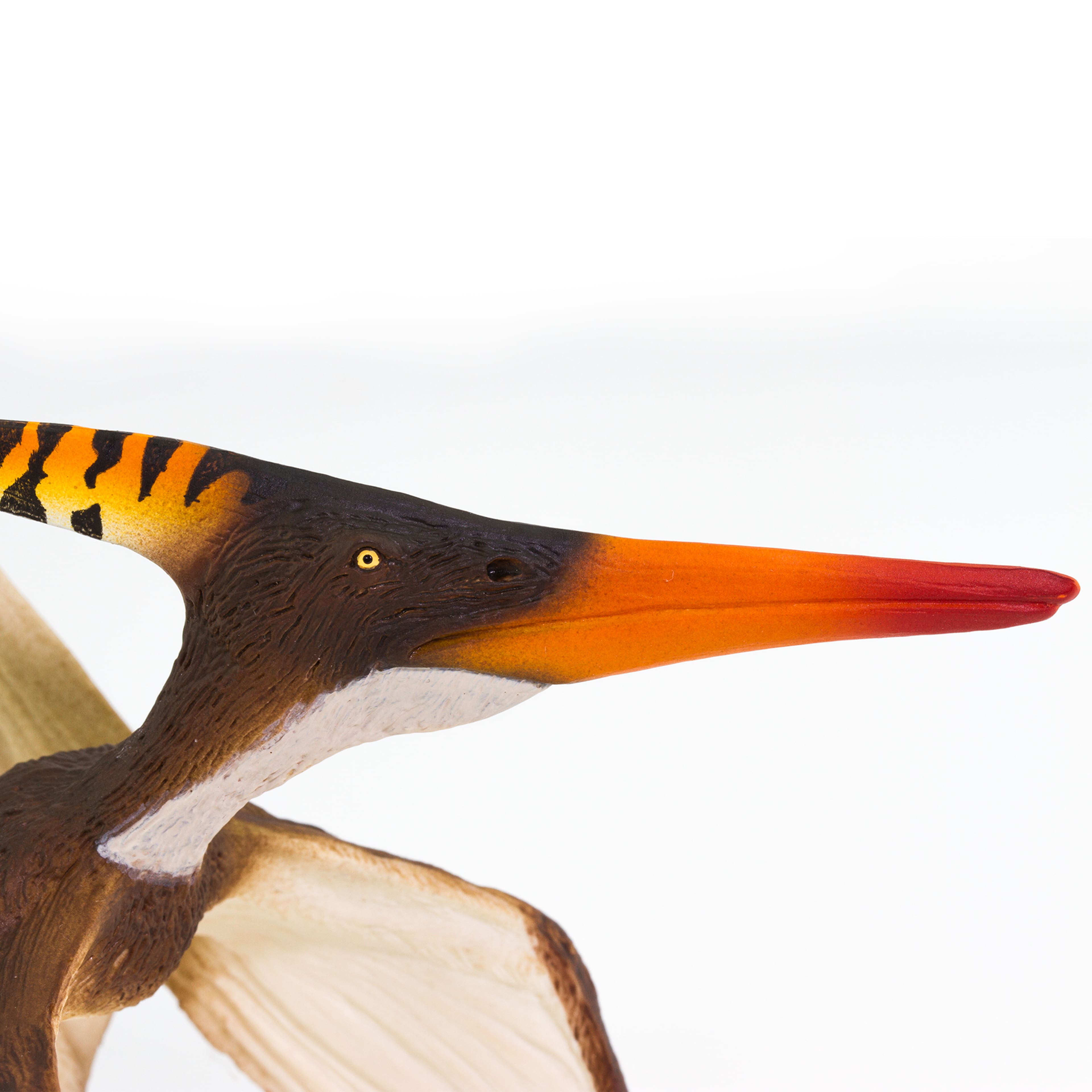 Safari Ltd&#xAE; Pteranodon