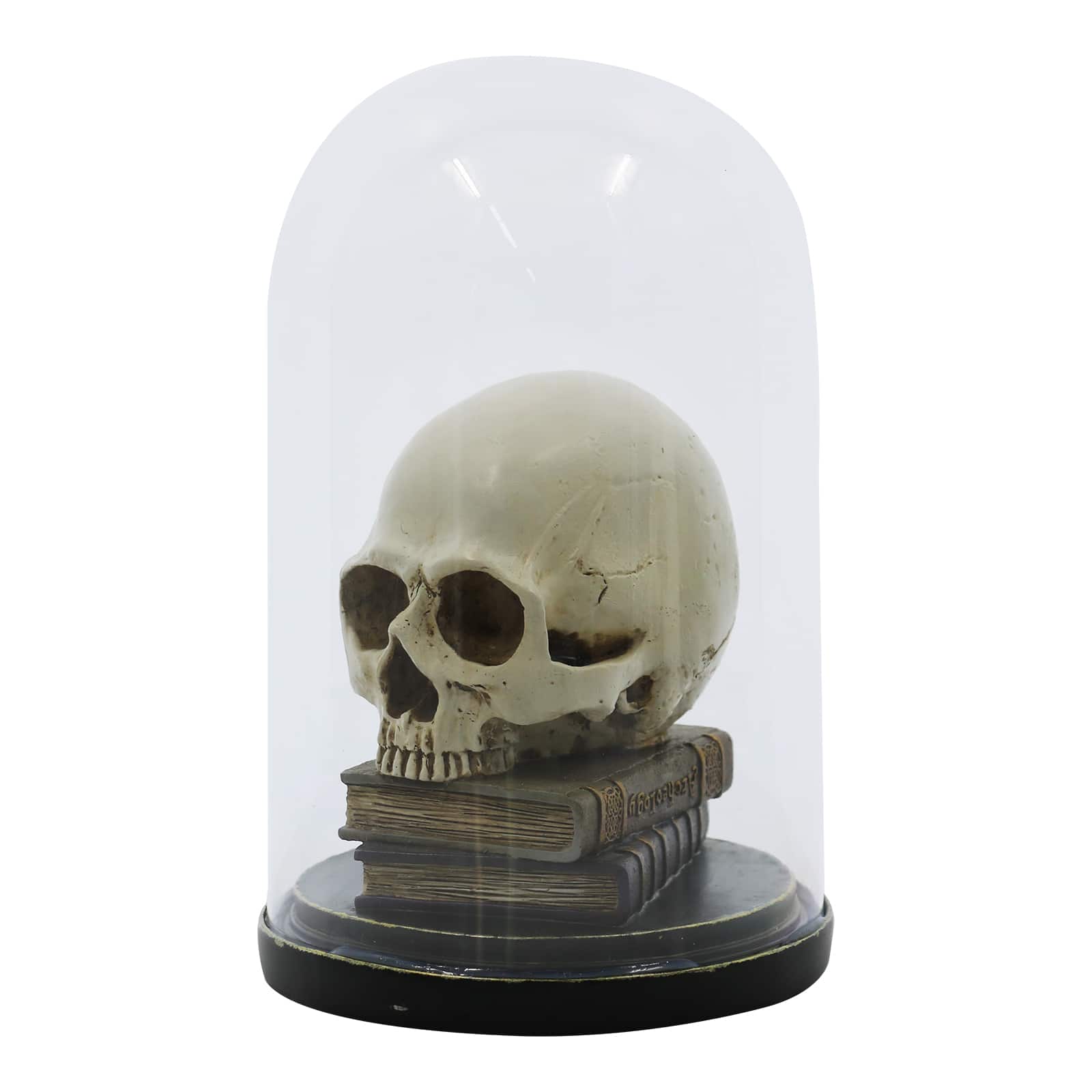 9.5&#x22; Skull on Books Cloche Tabletop D&#xE9;cor by Ashland&#xAE;