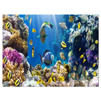 Designart - Fish in Coral Reef - Seascape Photography Canvas Art Print in Blue | 20" x 12" | Michaels®
