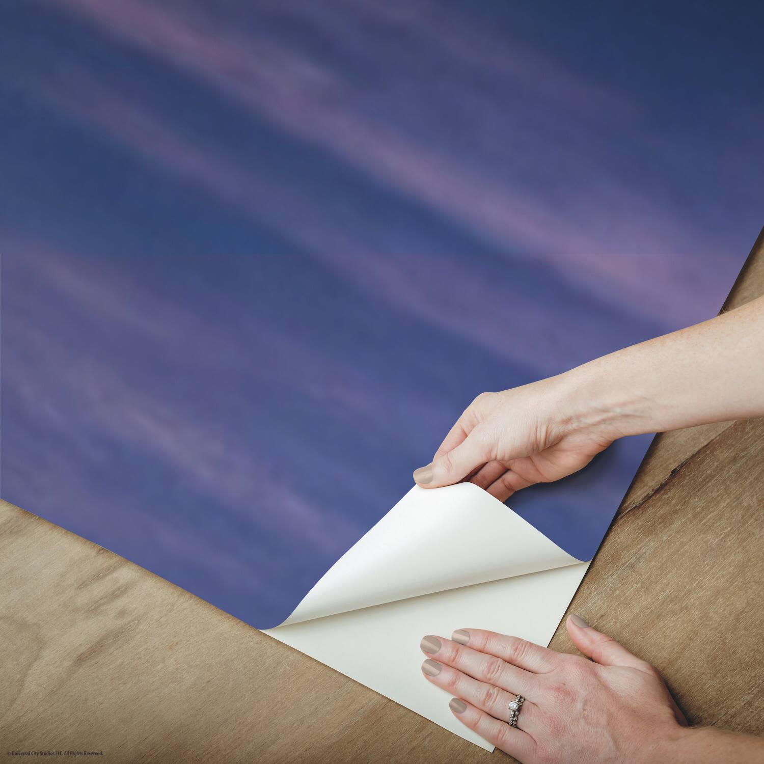 RoomMates Universal Studios Iconic Monsters Mural