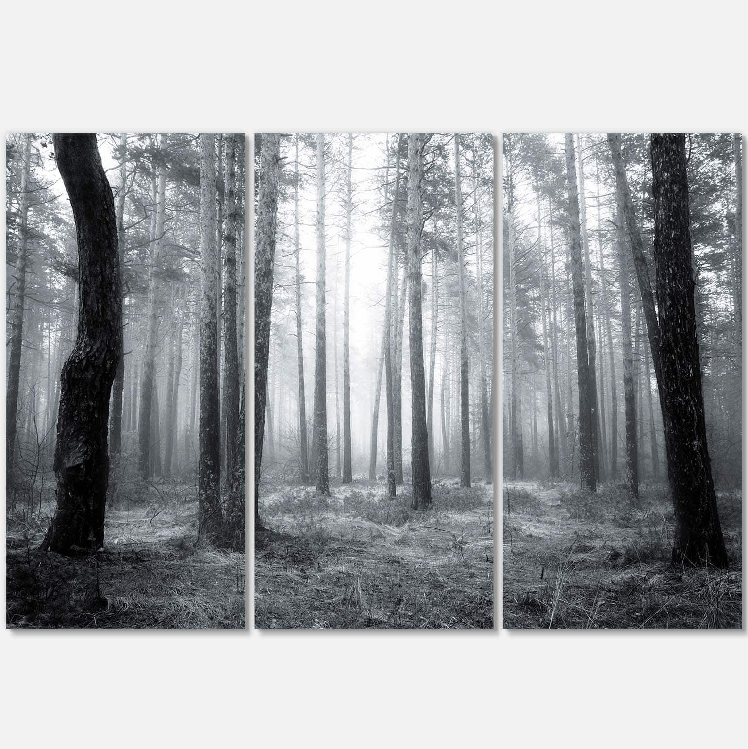 Designart - Black and White Foggy Forest - Forest Canvas Art Print