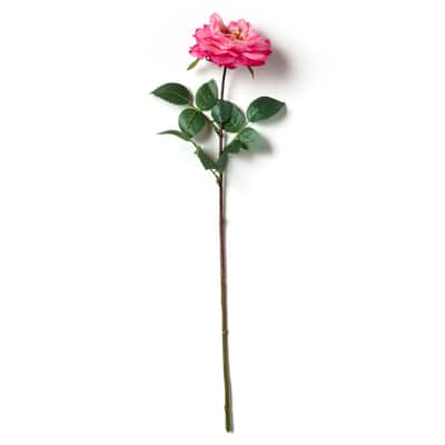 Garden Bloom Orlane Rose Stem Ashland™ image