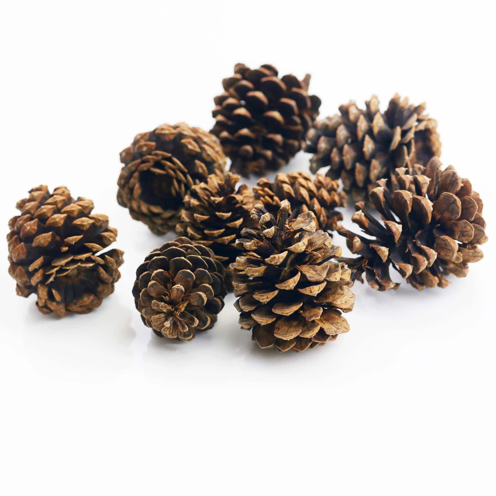 Cinnamon Scented Pinecones by Ashland&#xAE;