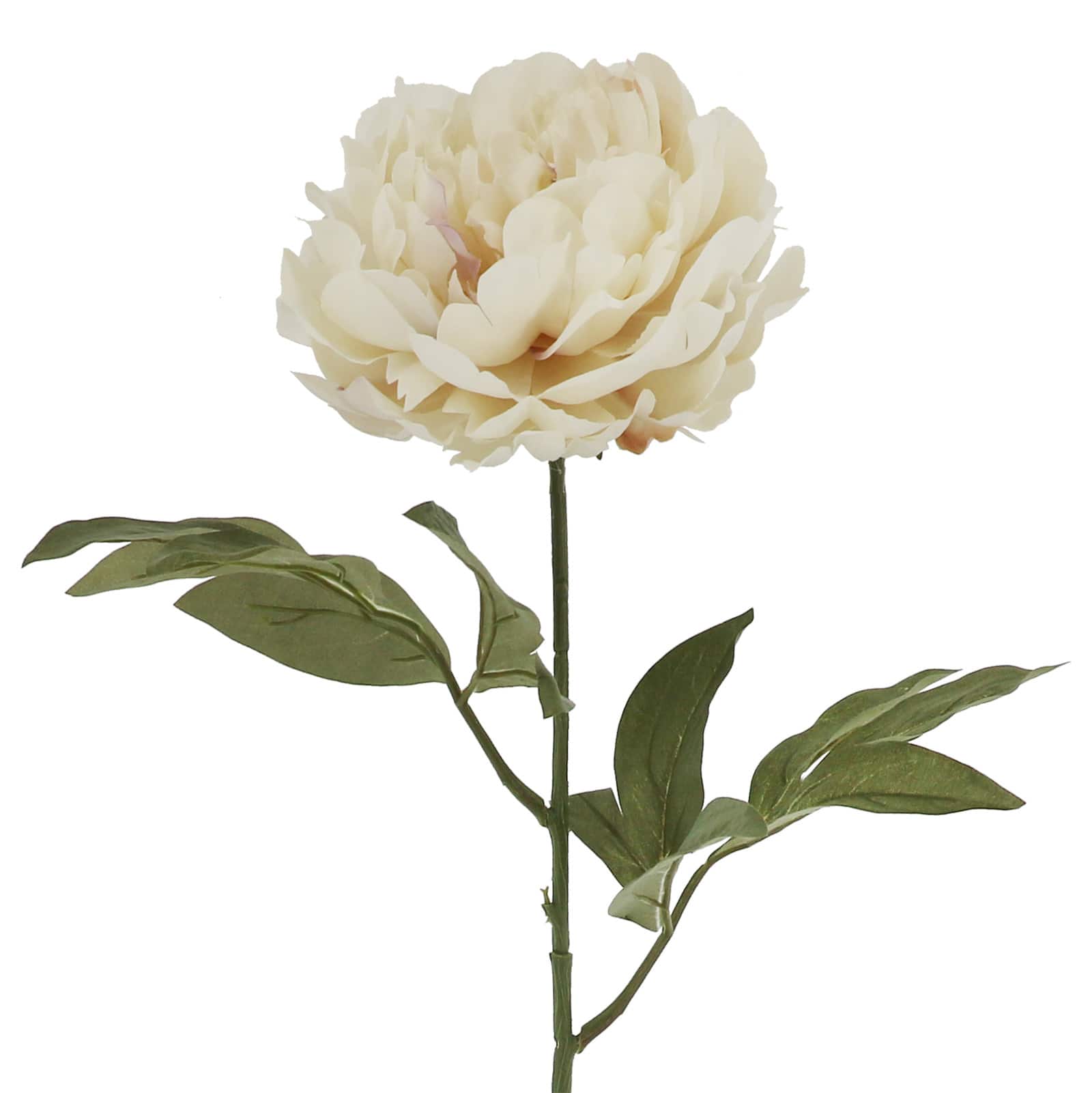 28&#x22; Cream Peony Stem by Ashland&#xAE;