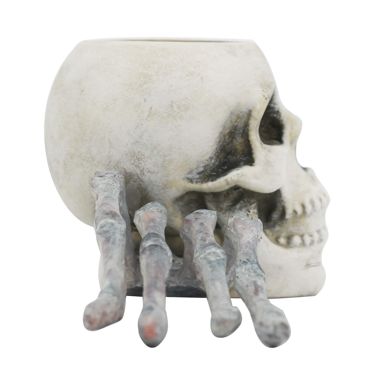 9.5&#x22; Spider Skull Tabletop D&#xE9;cor by Ashland&#xAE;