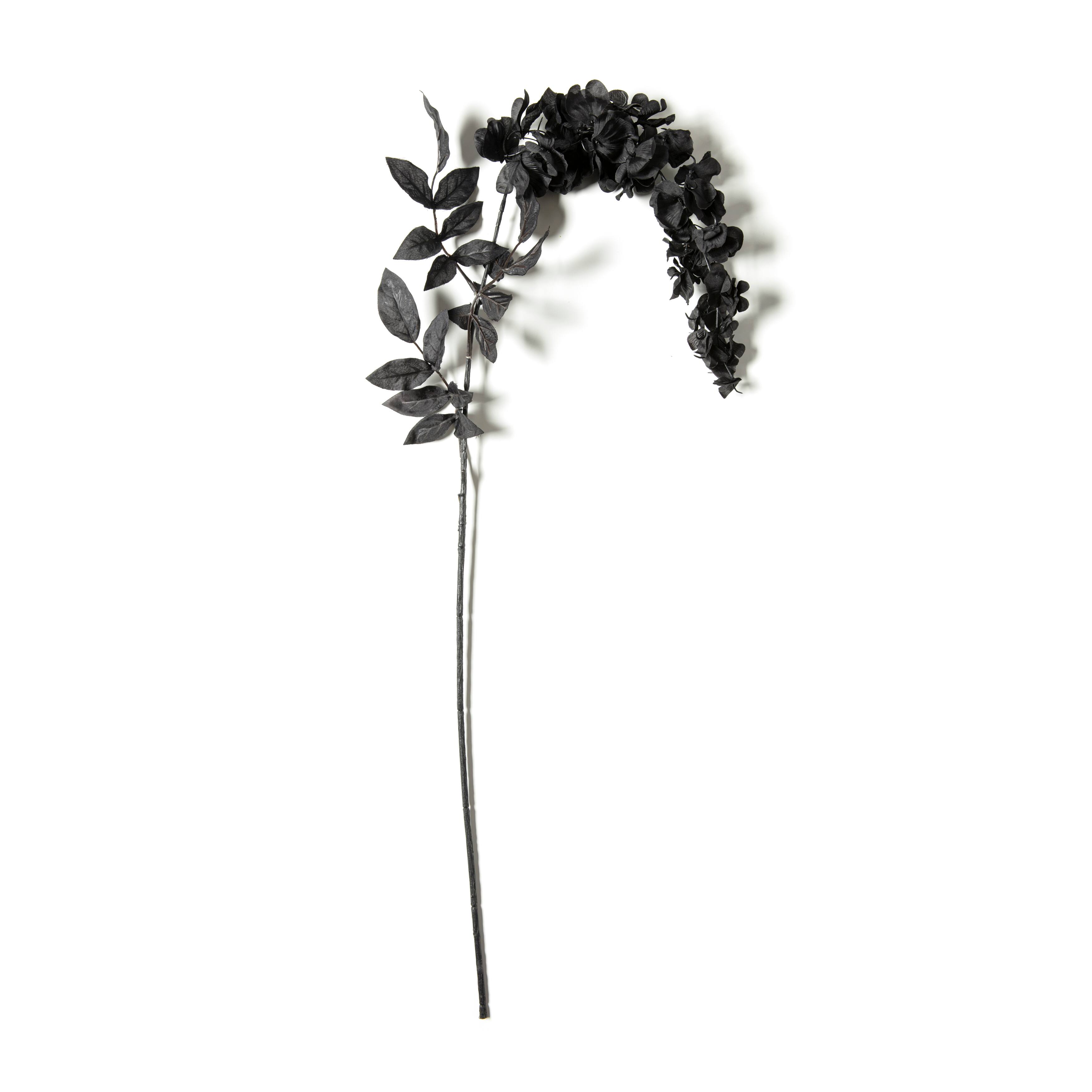 Black Wisteria Stem by Ashland®