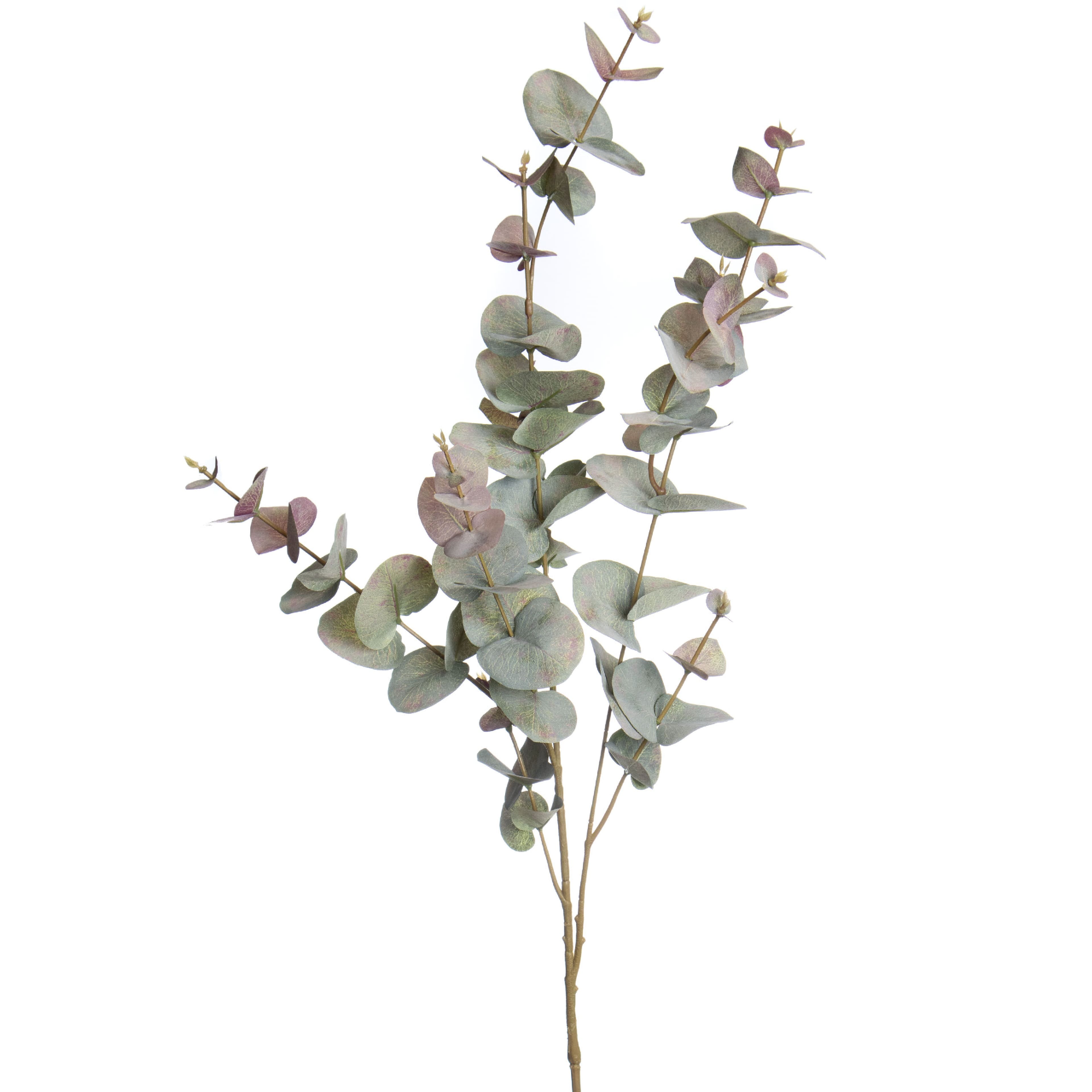 39&#x22; Green &#x26; Pink Eucalyptus Stem by Ashland&#xAE;