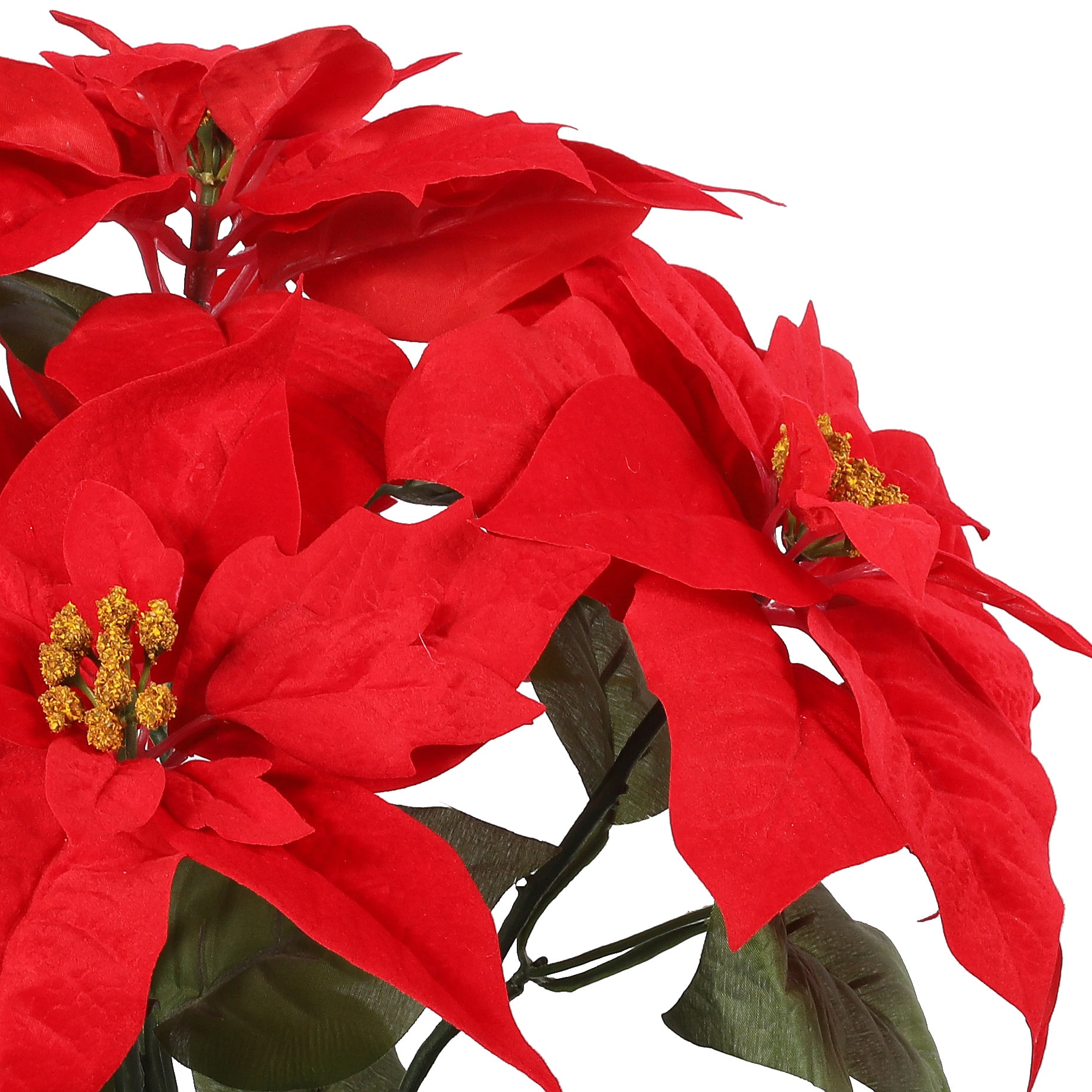 19" Red Poinsettia Deluxe Bush by Ashland®