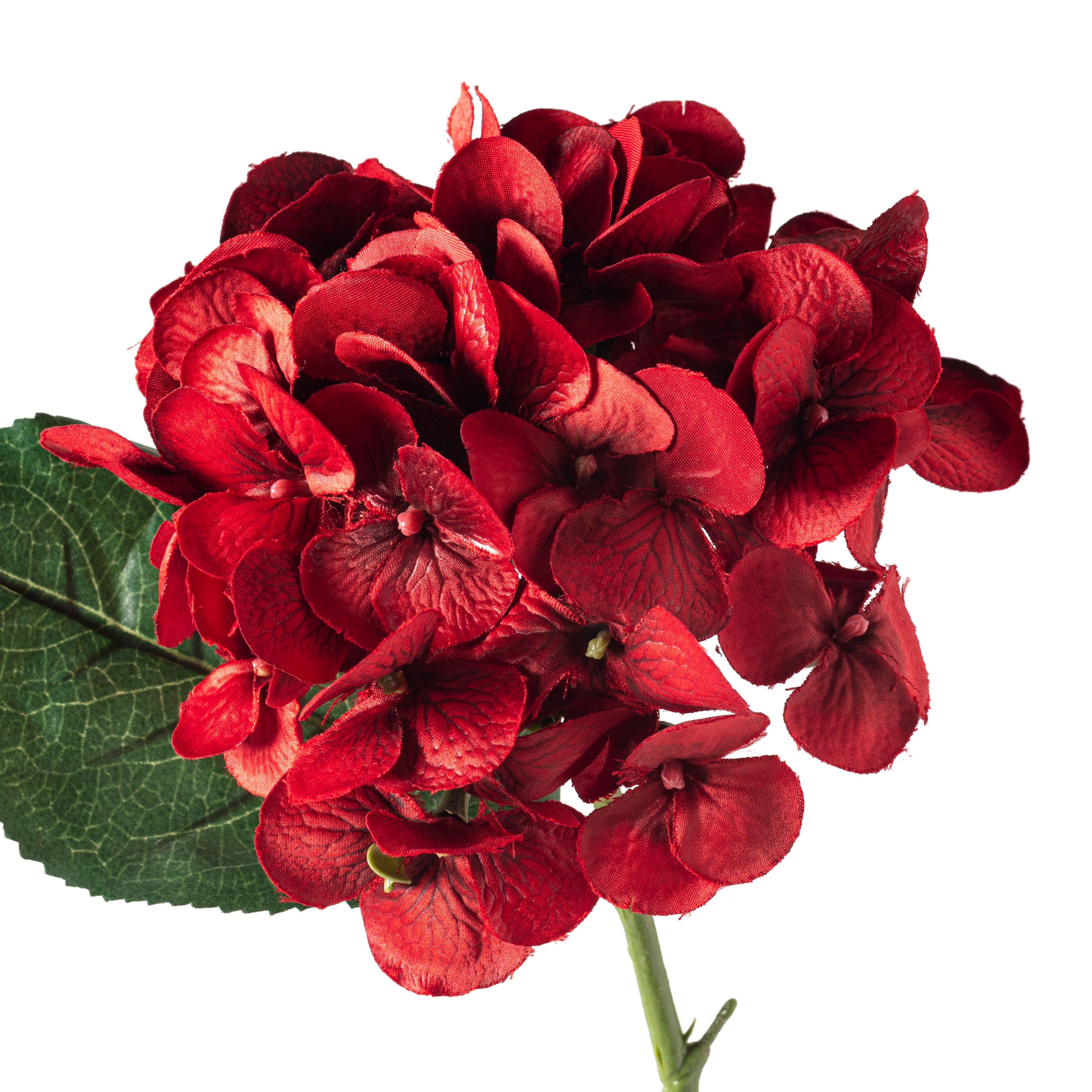 12 Pack: Red Hydrangea Stem by Ashland®
