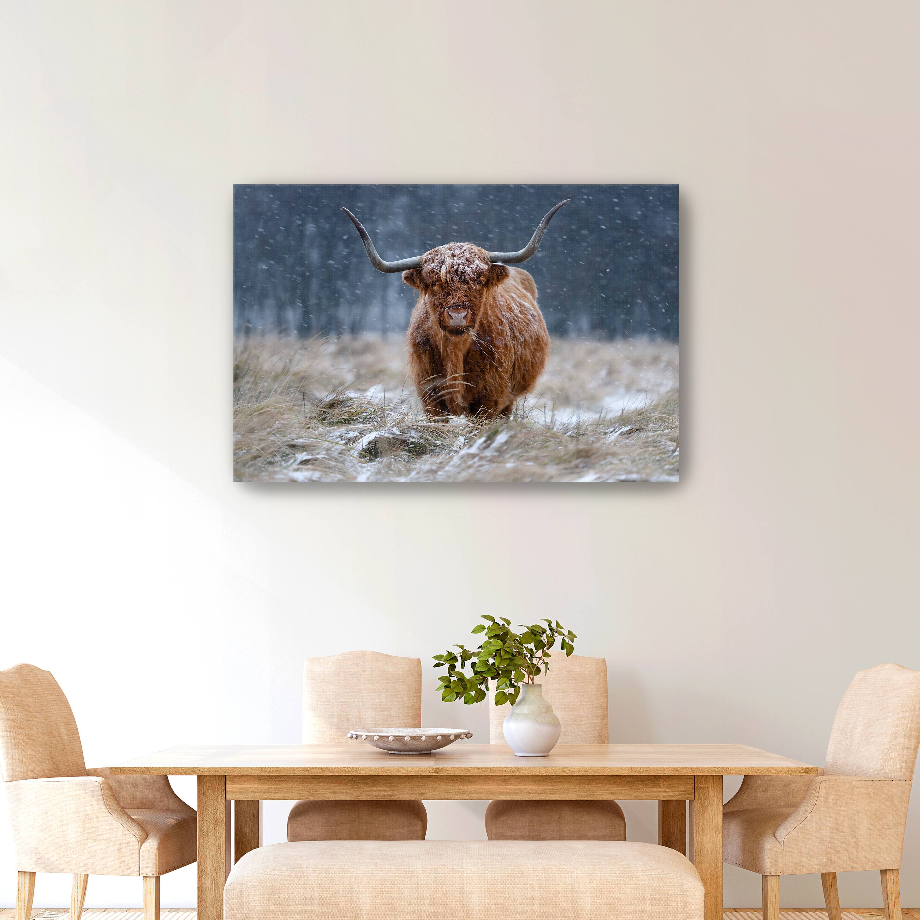 Guijt - Snowy Highland Cow Canvas Giclee
