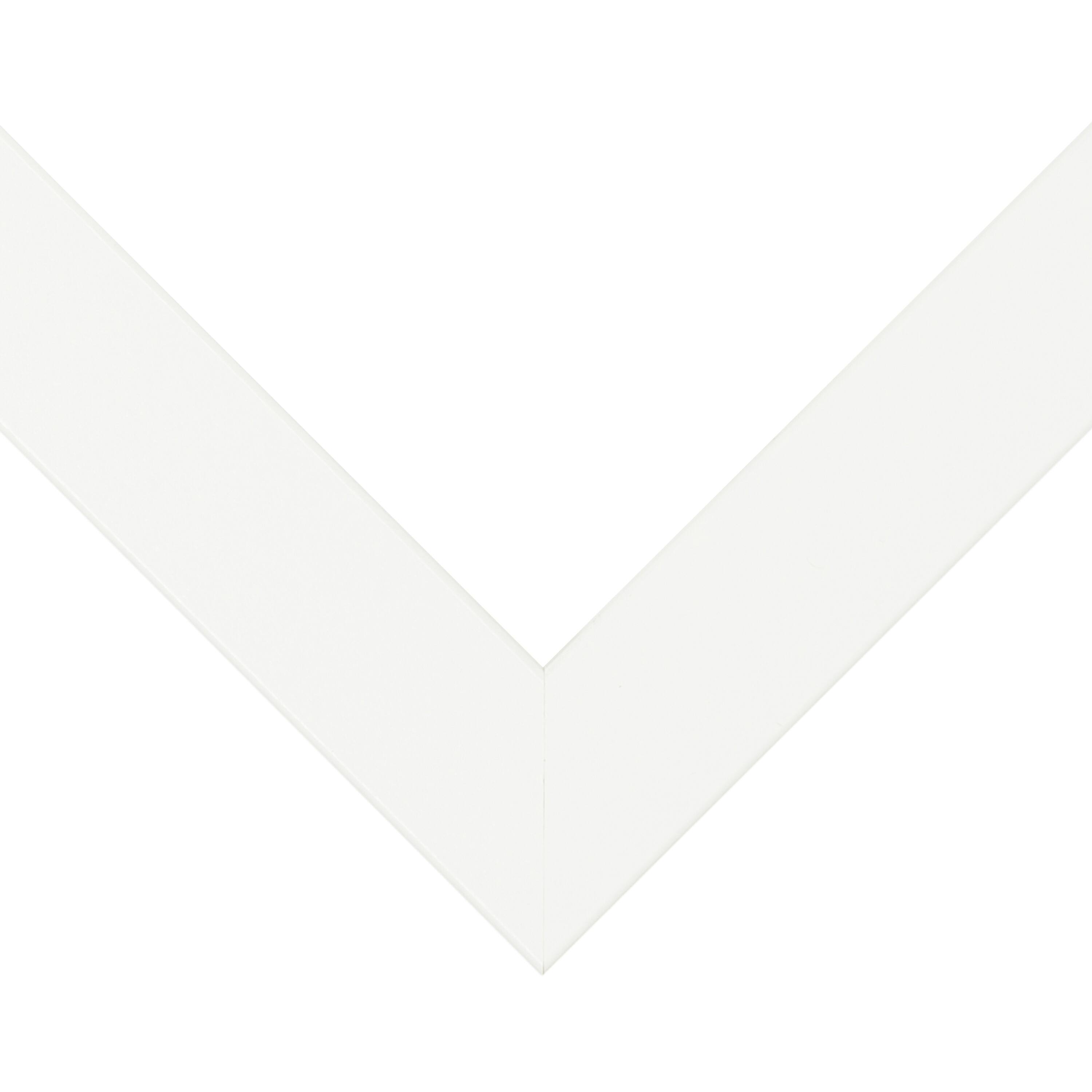 Frame USA Affordable Medium White Single Image Picture Frame