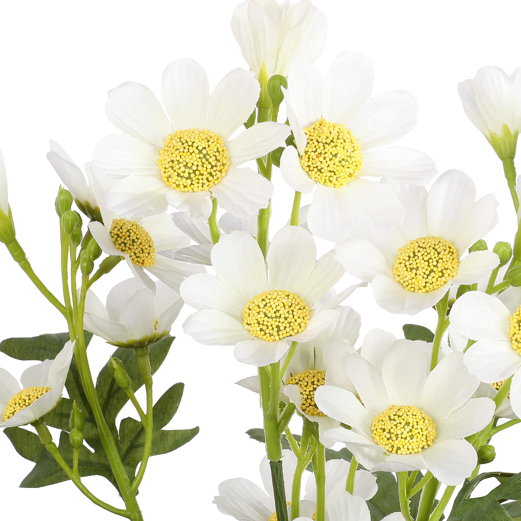 19&#x22; Cosmos Bush by Ashland&#xAE;