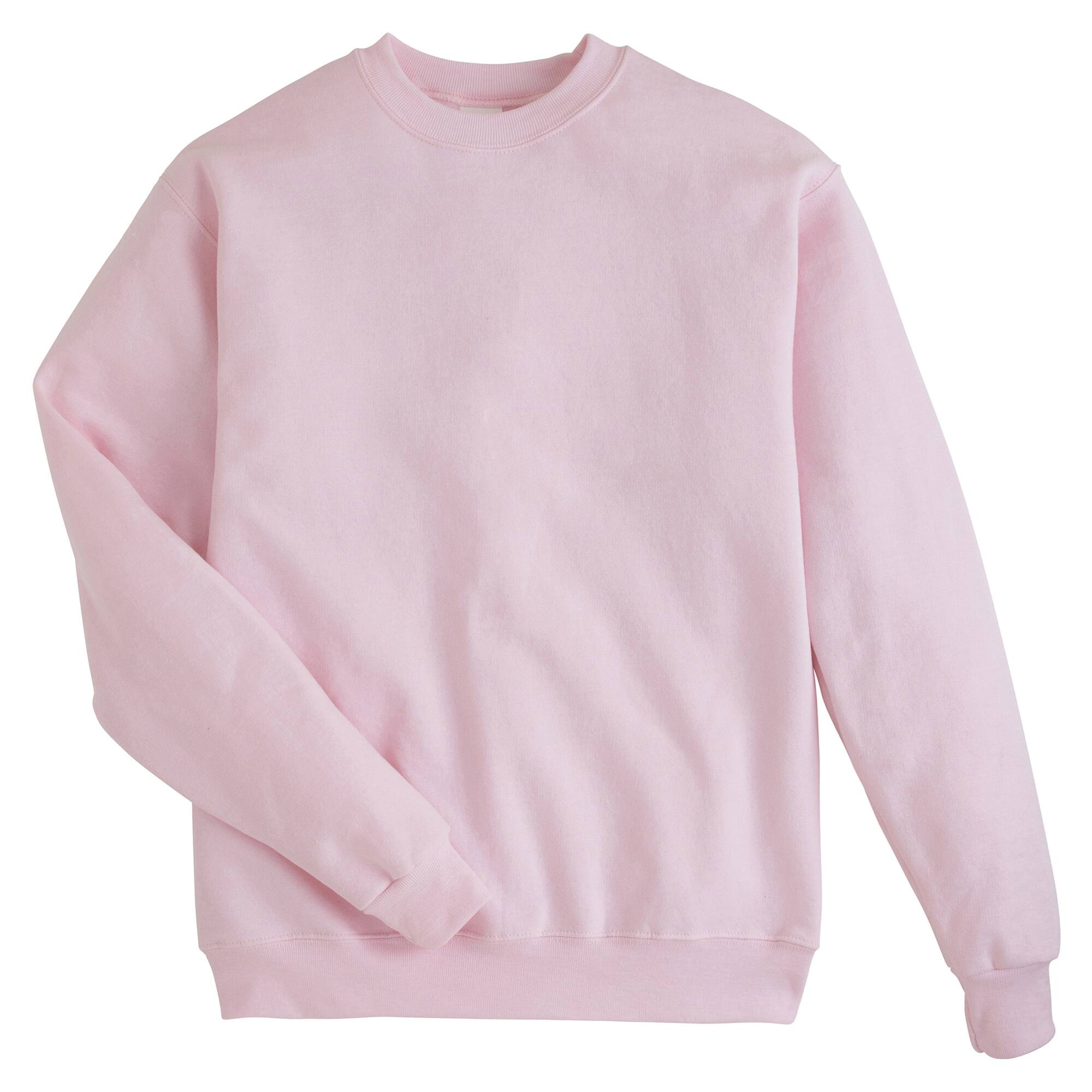 Hanes Men&#x27;s EcoSmart Sweatshirt