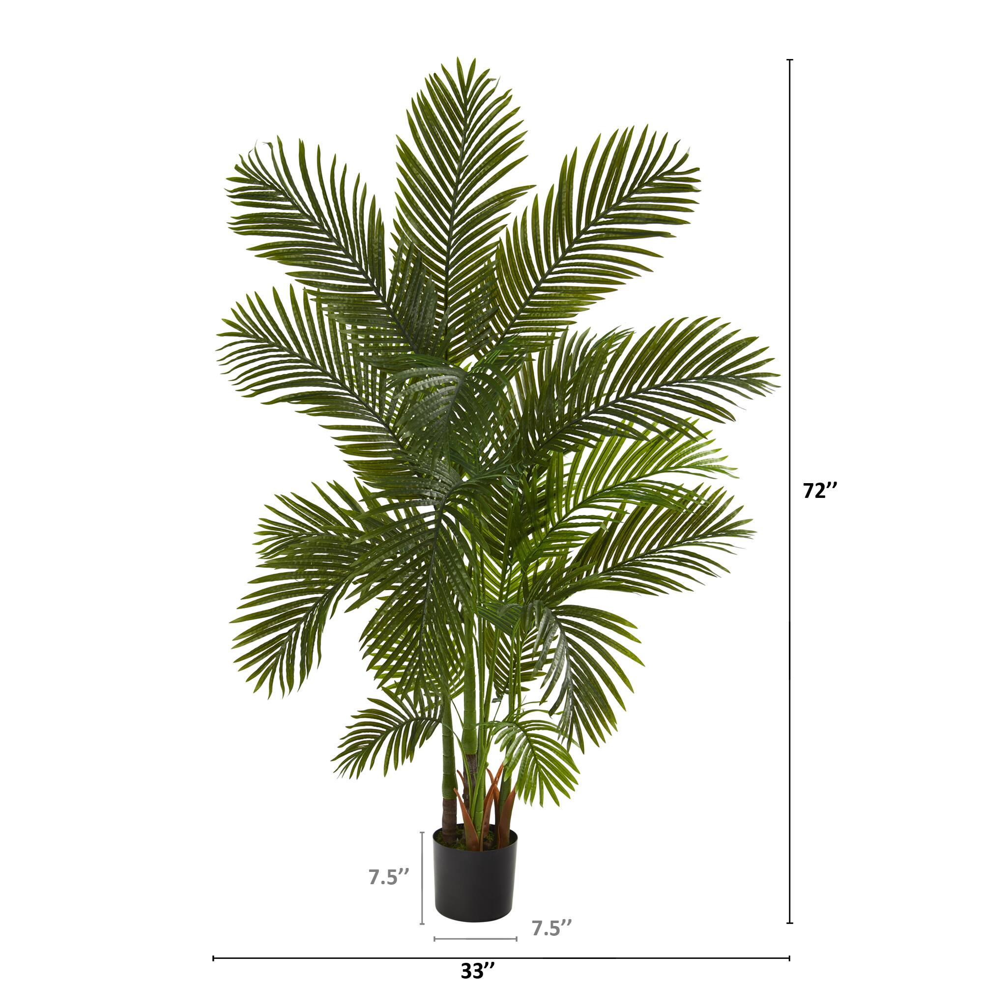 6ft. Potted Areca Palm Tree