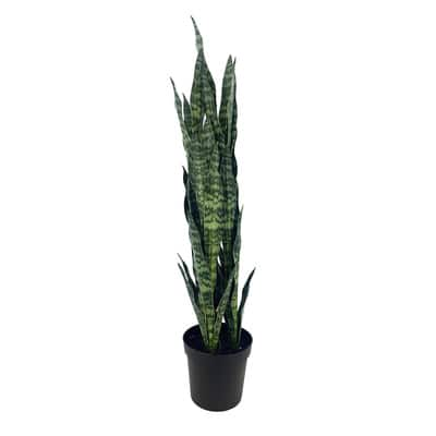 2.5ft. Potted Green Sansevieria Plant by Ashland® | Michaels