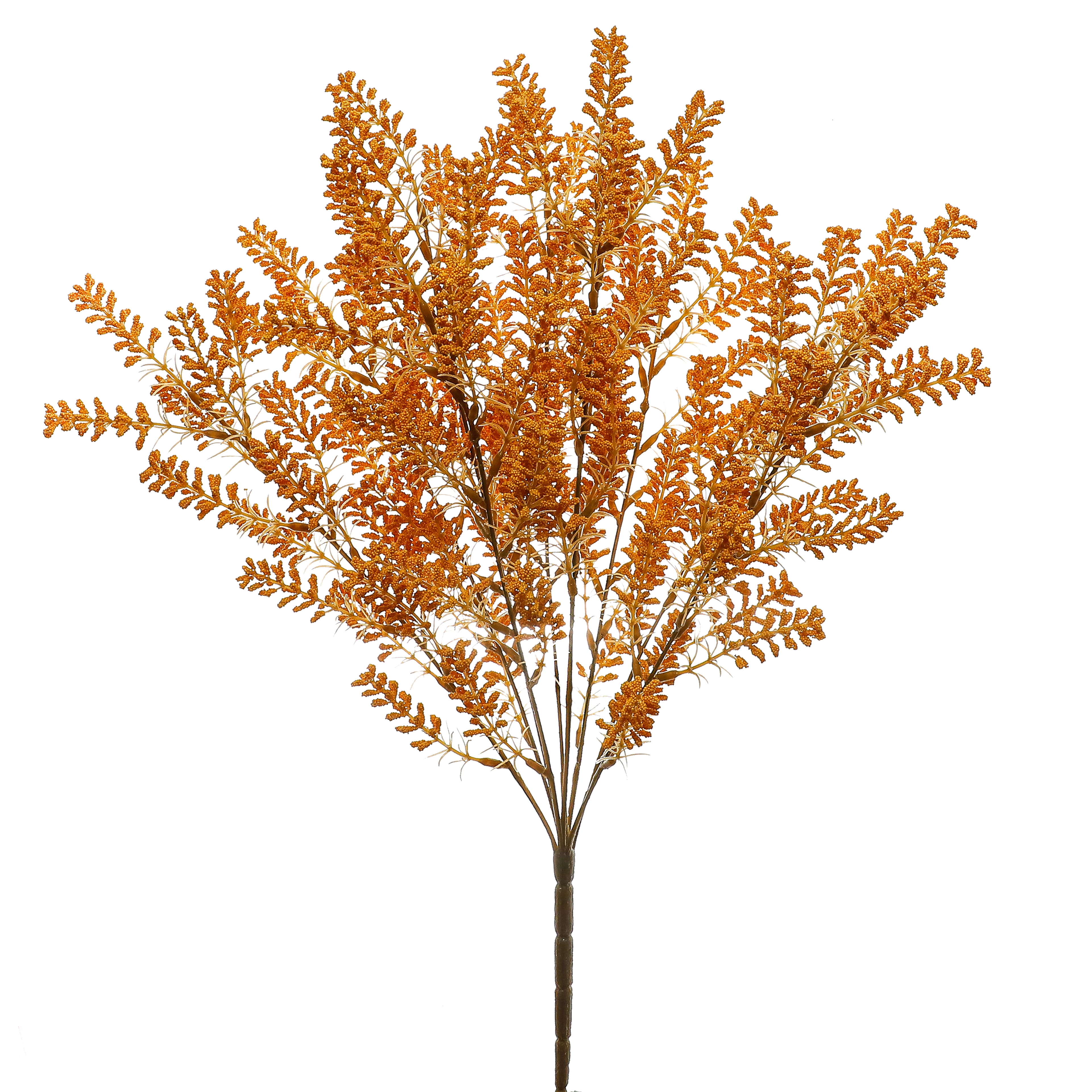 19&#x22; Berry Bush by Ashland&#xAE;