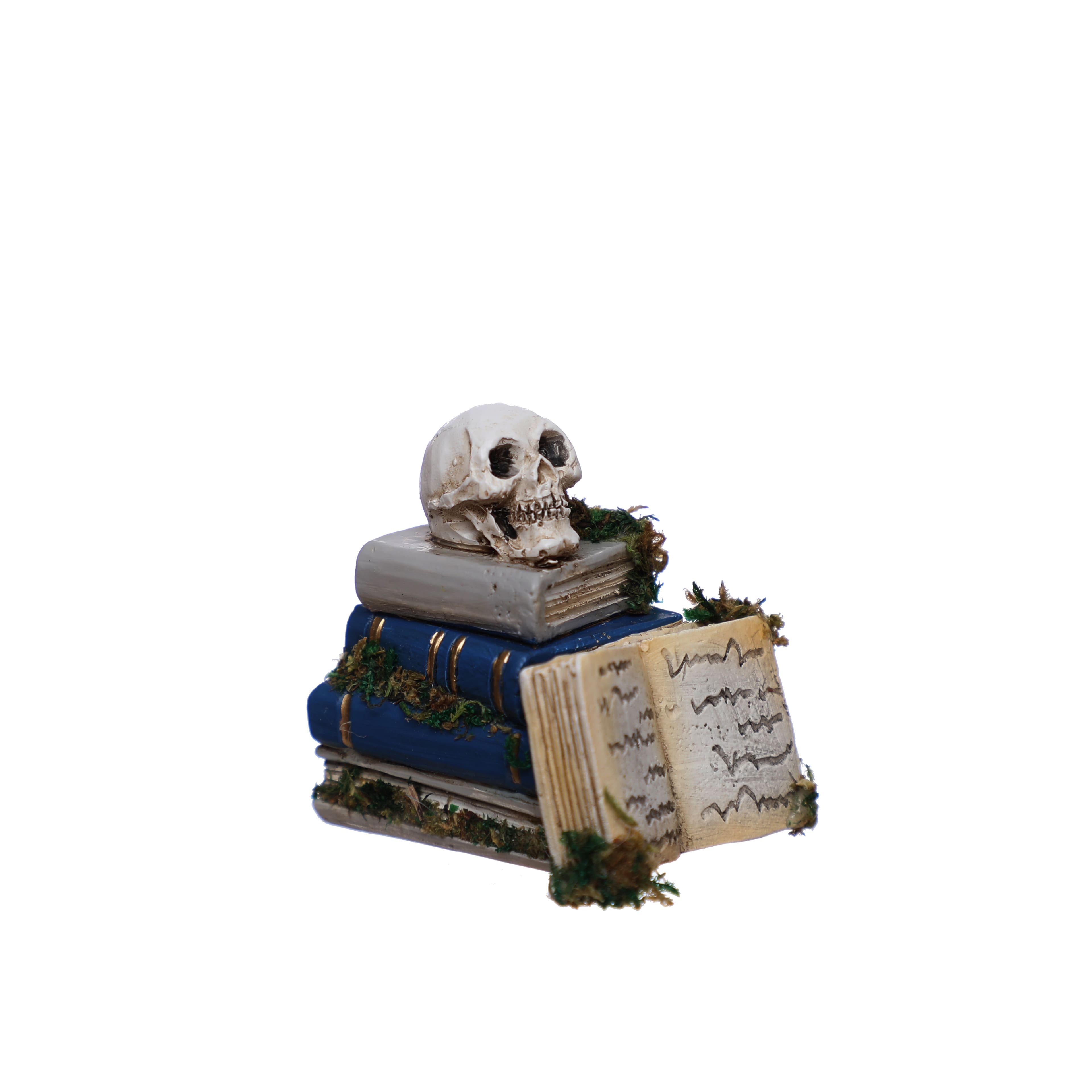 Mini Skull on Books Decoration by Ashland&#xAE;