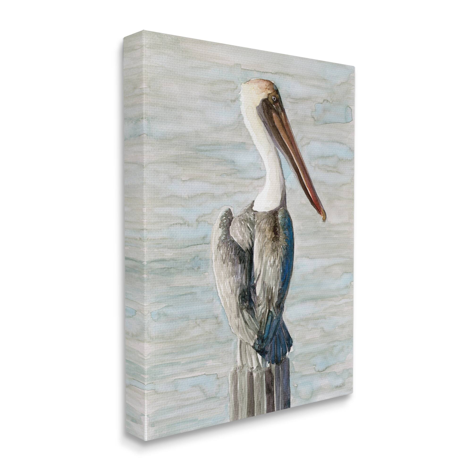 Stupell Industries Long Beak Pelican Watercolor Painting Coastal Waterfowl Bird Canvas Wall Art