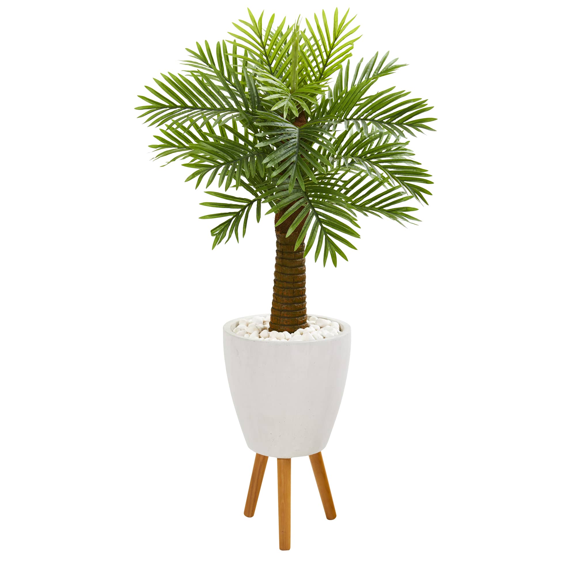 4ft. Robellini Palm Tree in White Planter with Stand