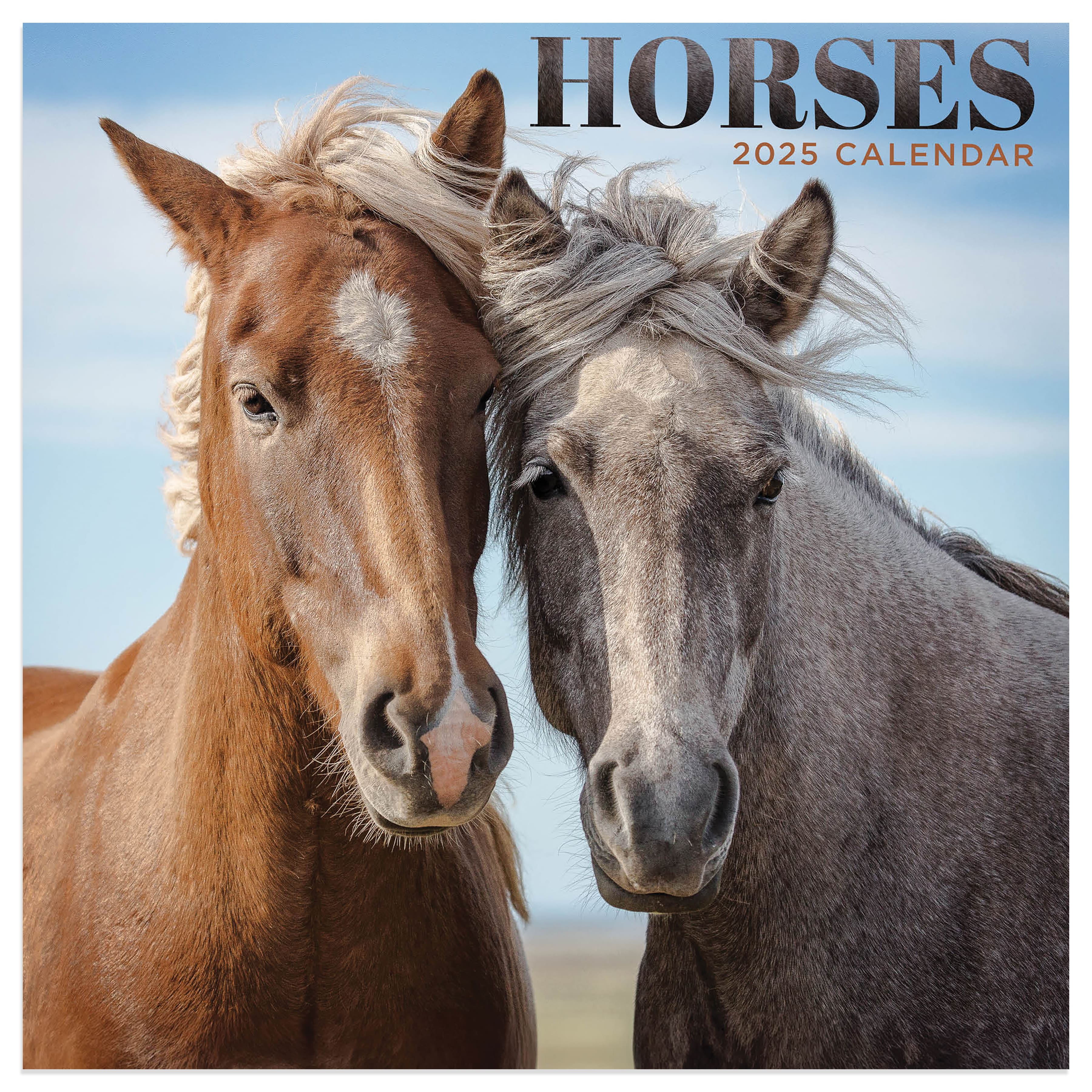 TF Publishing 2025 Horses Mini Calendar Michaels