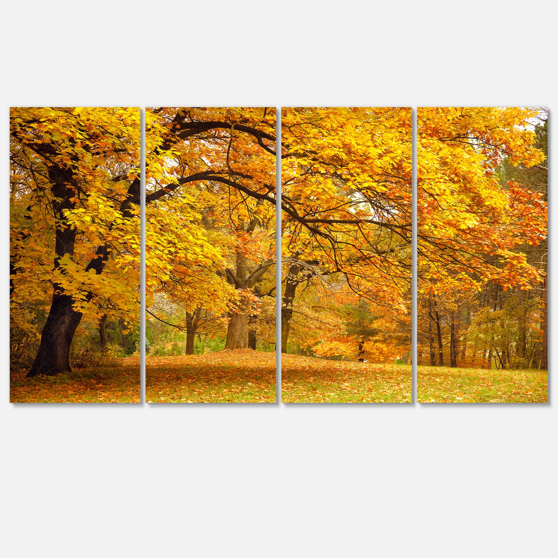 Designart - Golden Autumn Forest - Landscape Photography Canvas Print