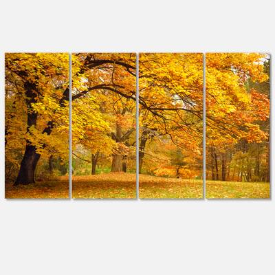 Designart - Golden Autumn Forest - Landscape Photography Canvas Print ...