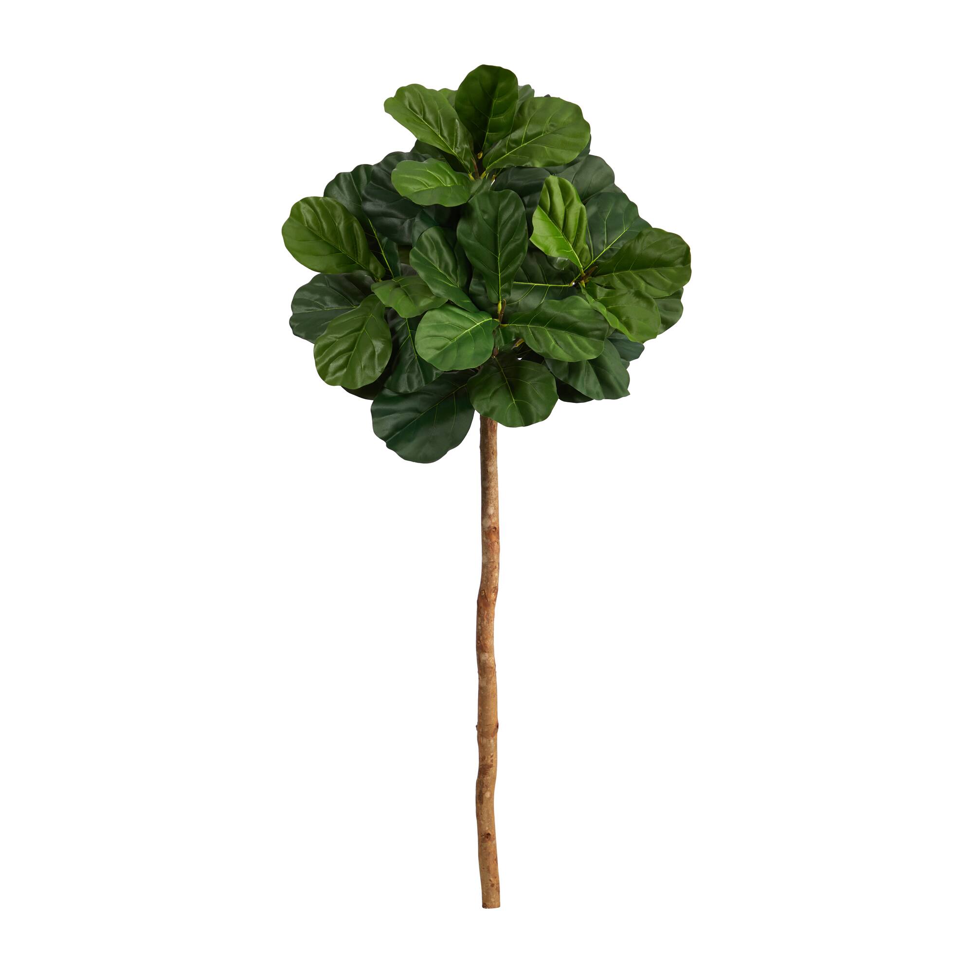 4.5ft. Fiddle Leaf Fig Tree Michaels
