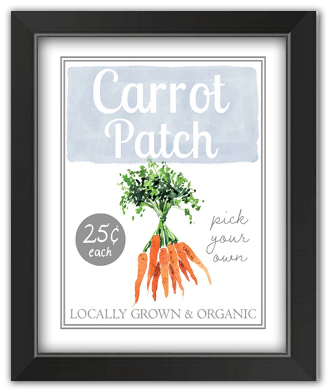 Carrot Patch Sign 4 11" x 14" Black Framed Print Under Plexiglass