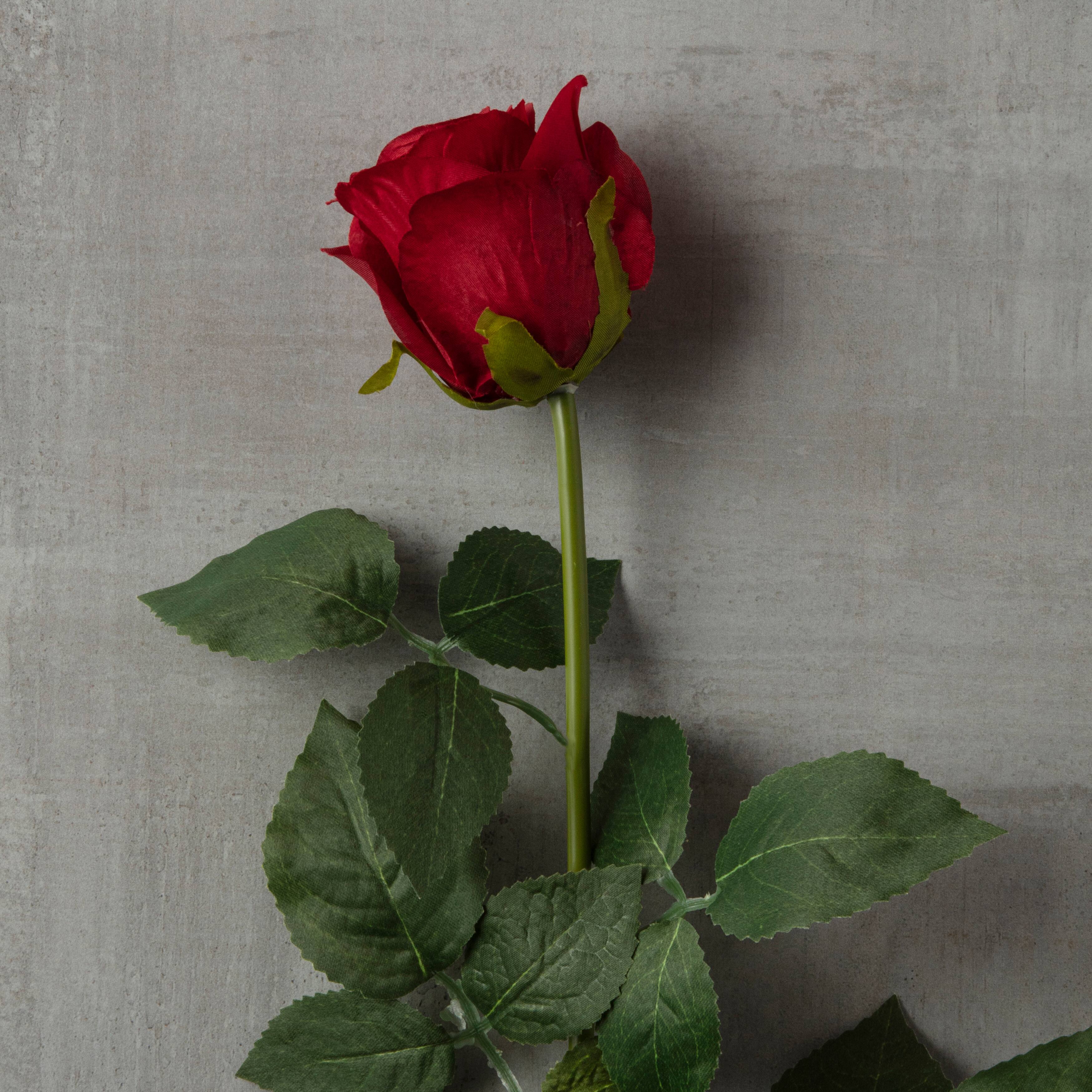 12 Pack: Red Dutch Rose Stem by Ashland&#xAE;