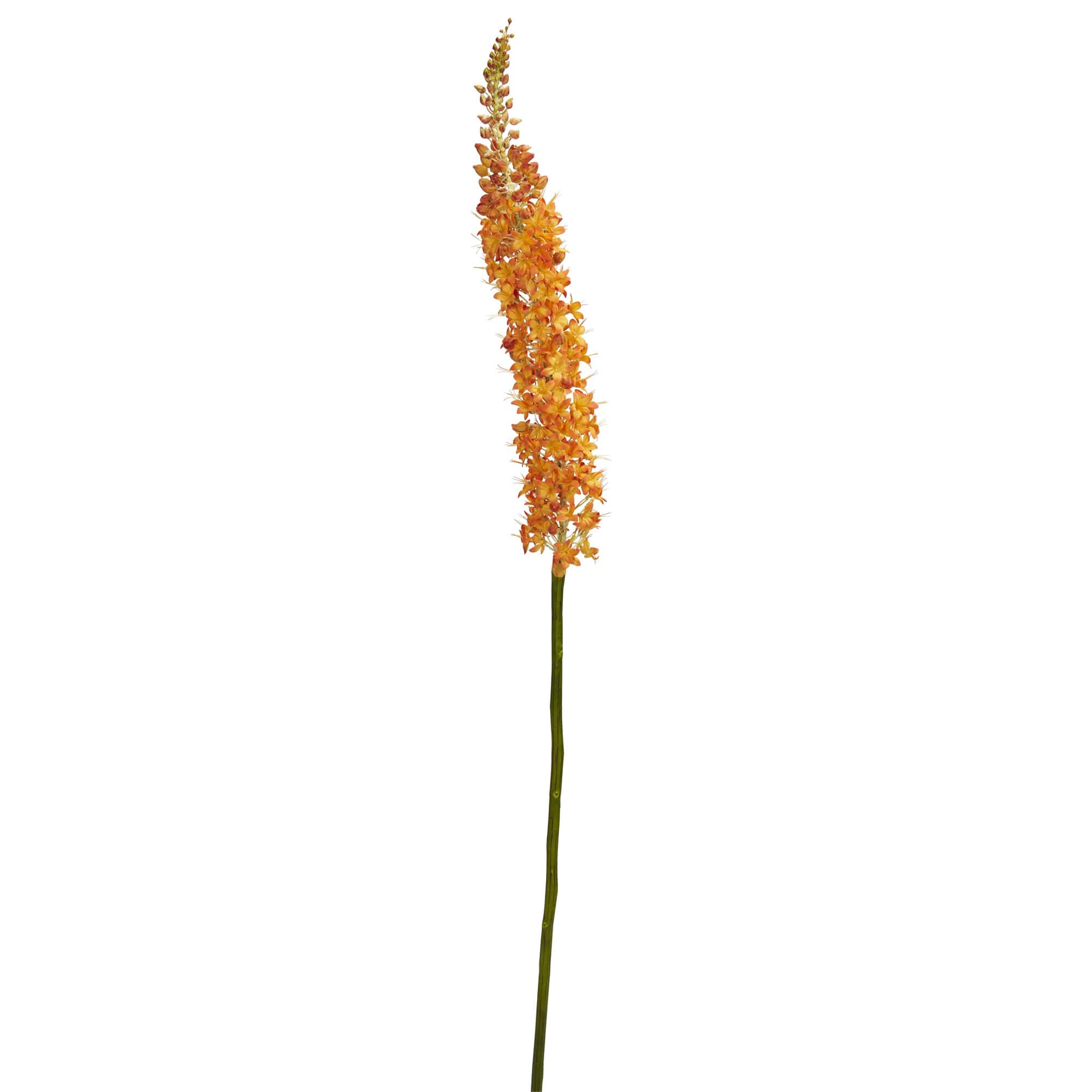 Orange Fox Tail Flower Stems, 3ct.