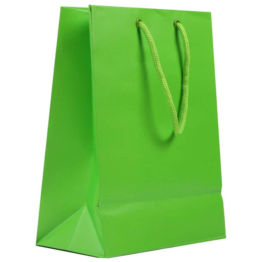 JAM Paper Medium Gift Bags with Rope Handles, 3ct.