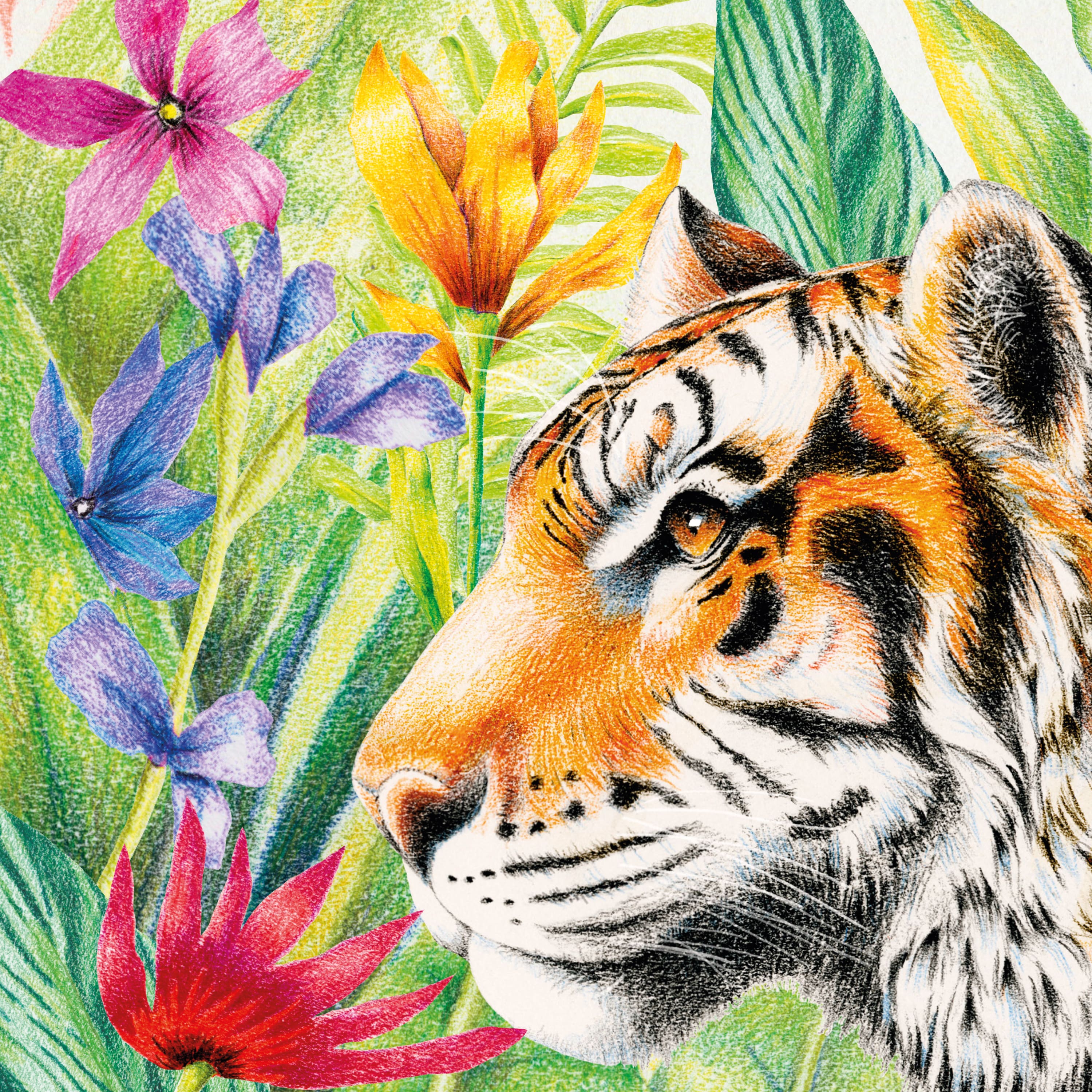 Crayons de couleur de base Goldfaber de Faber-Castell