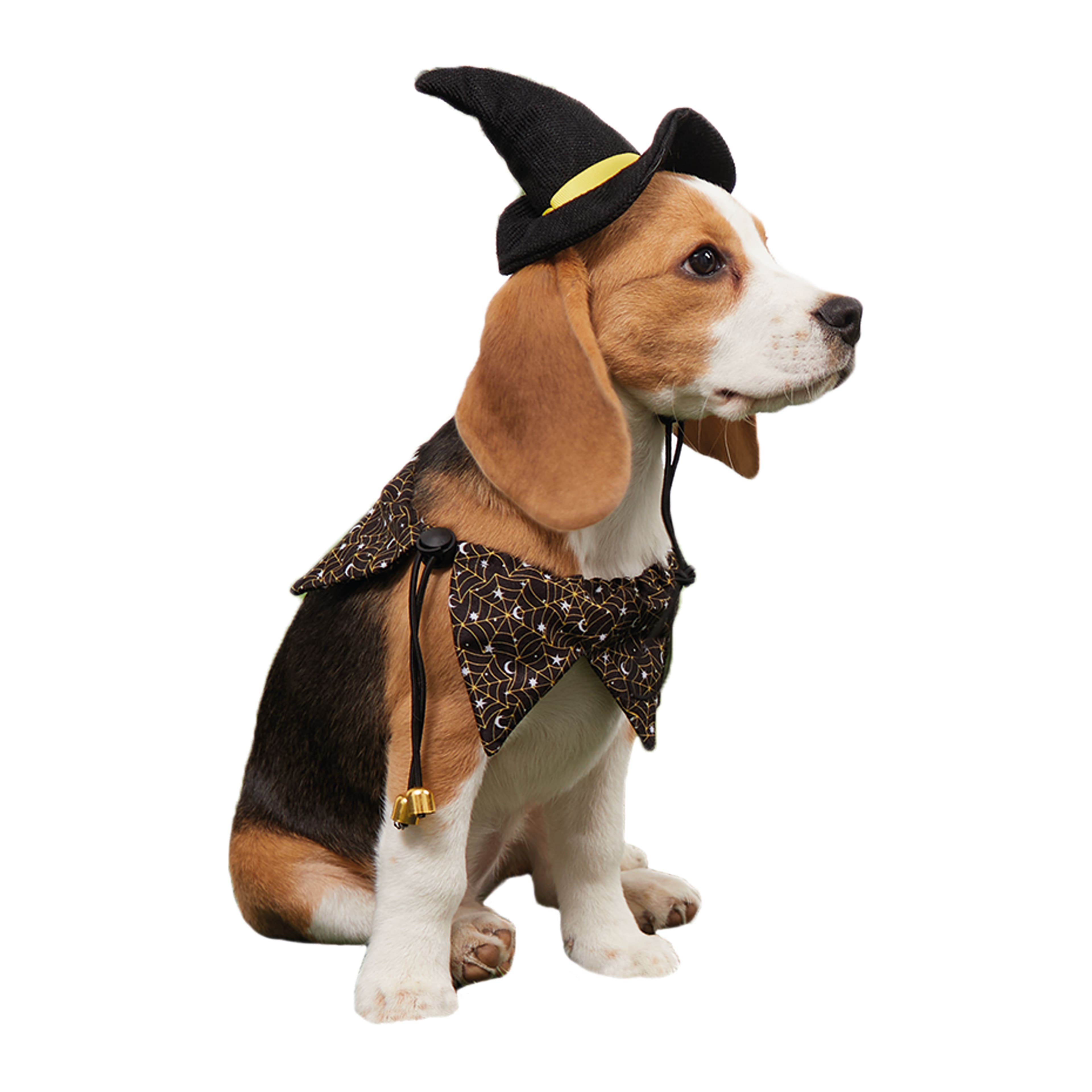 Assorted Halloween Witch Hat &#x26; Collar Dog Costume, 1pc. by Ashland&#xAE;